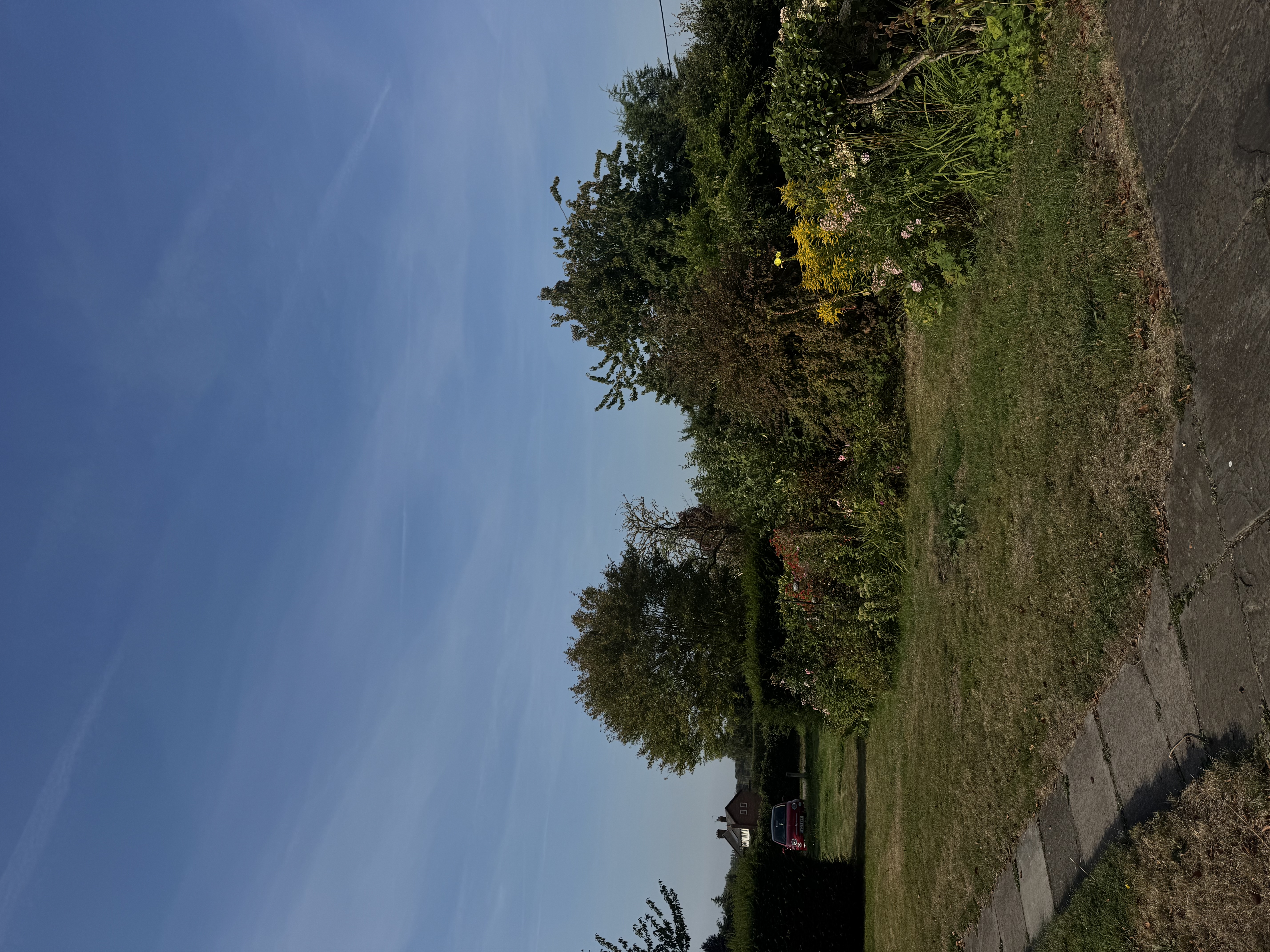 image-17