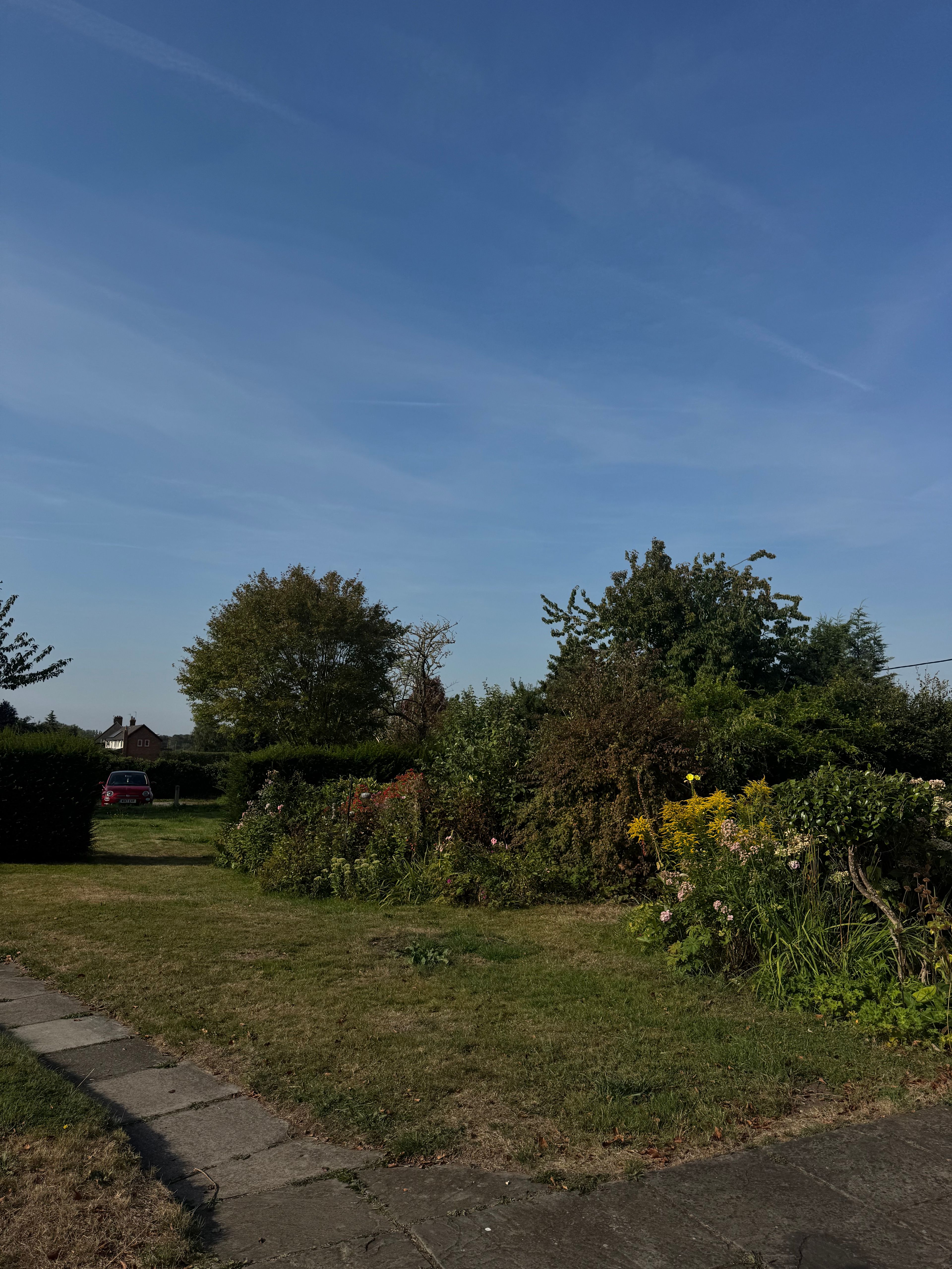 image-17