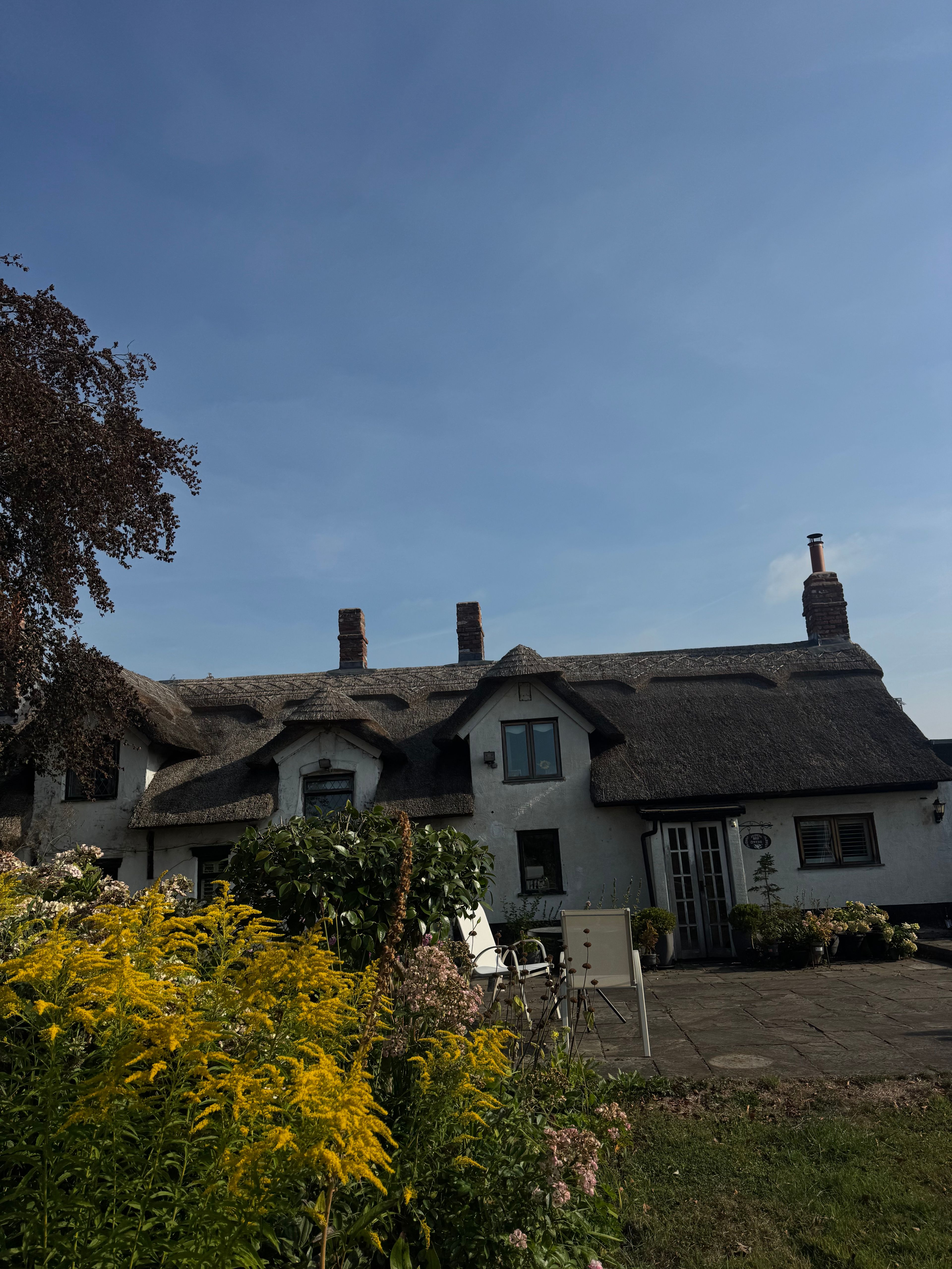 image-16