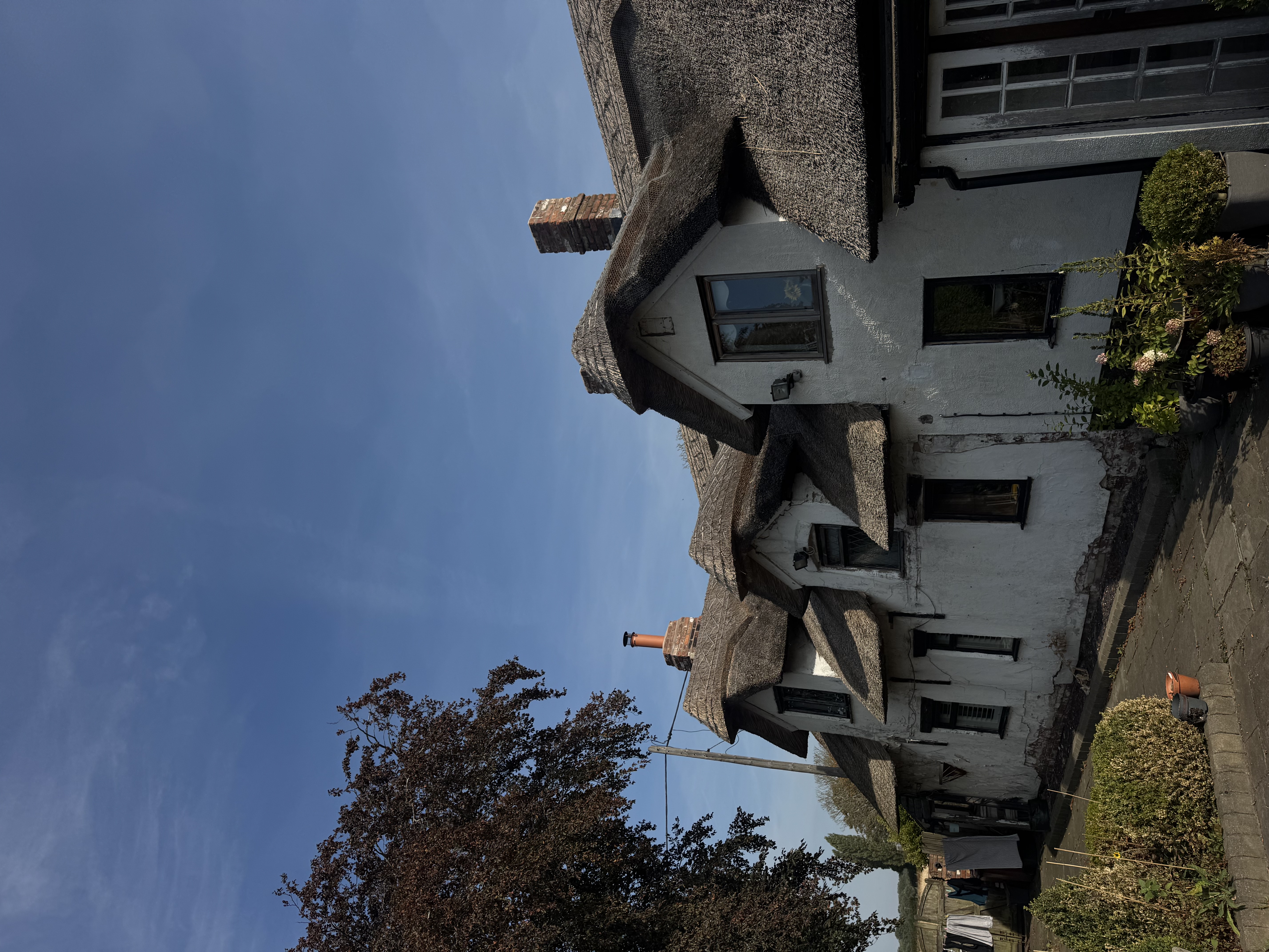 image-15