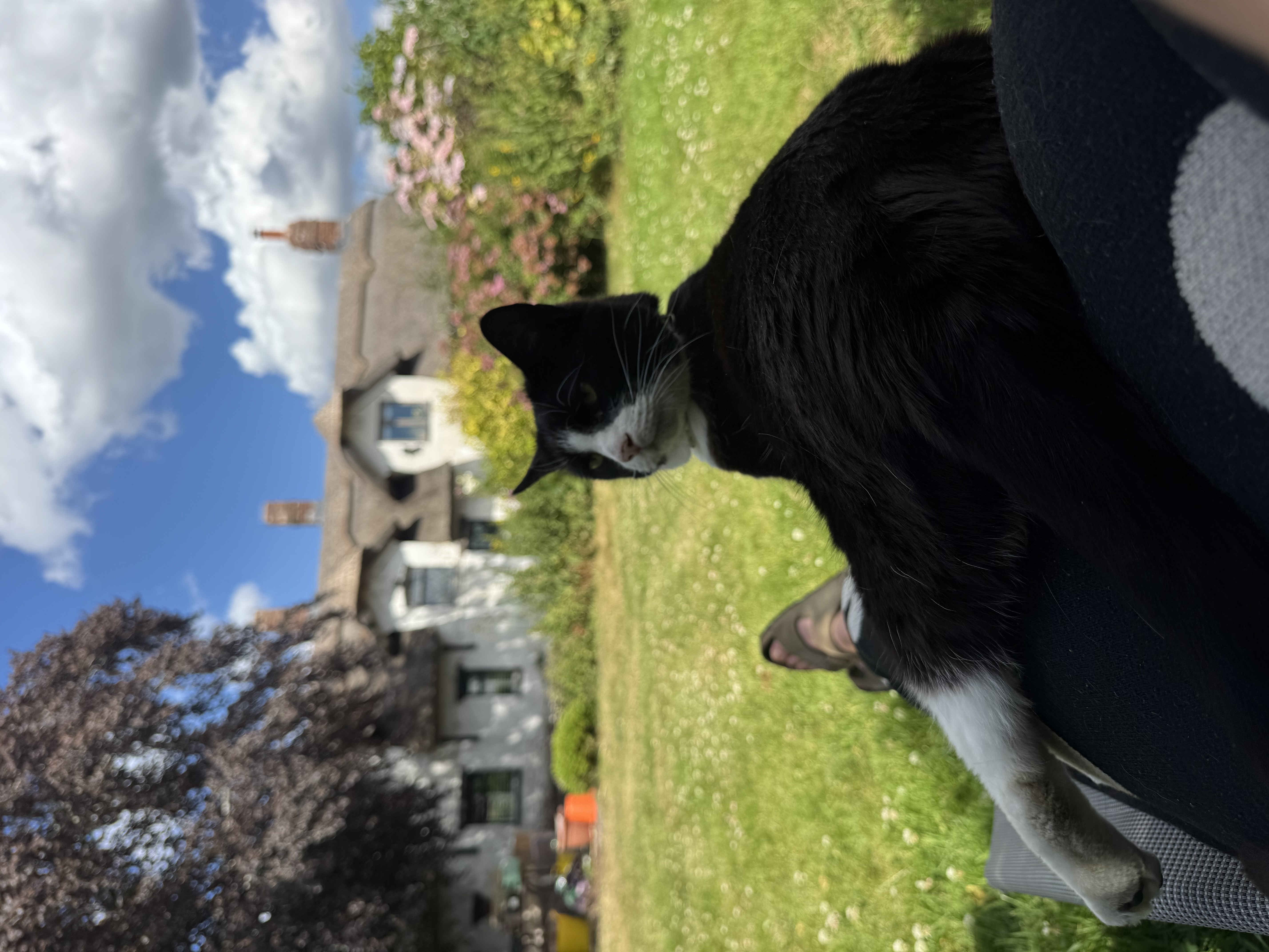 image-8