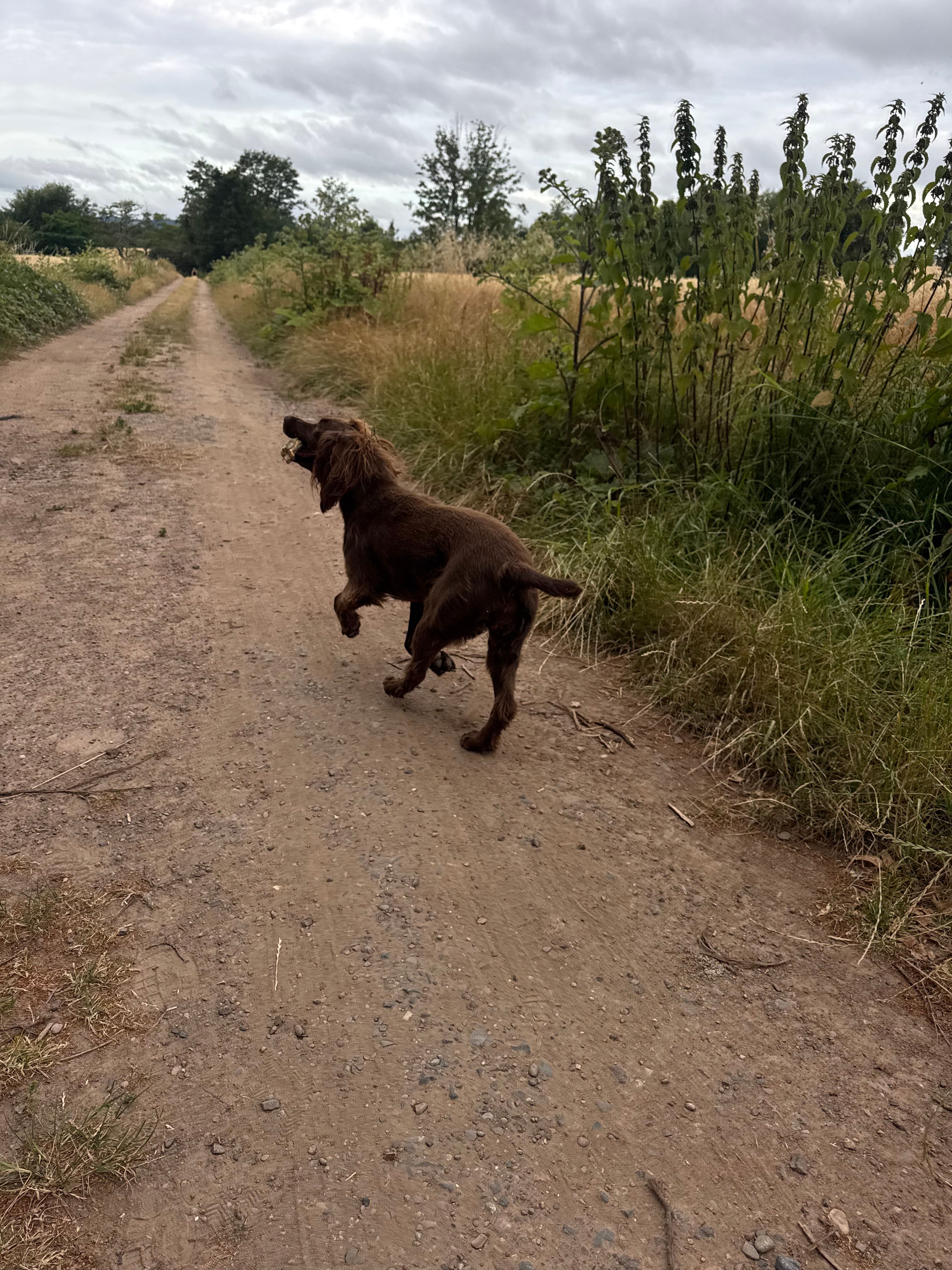 image-10