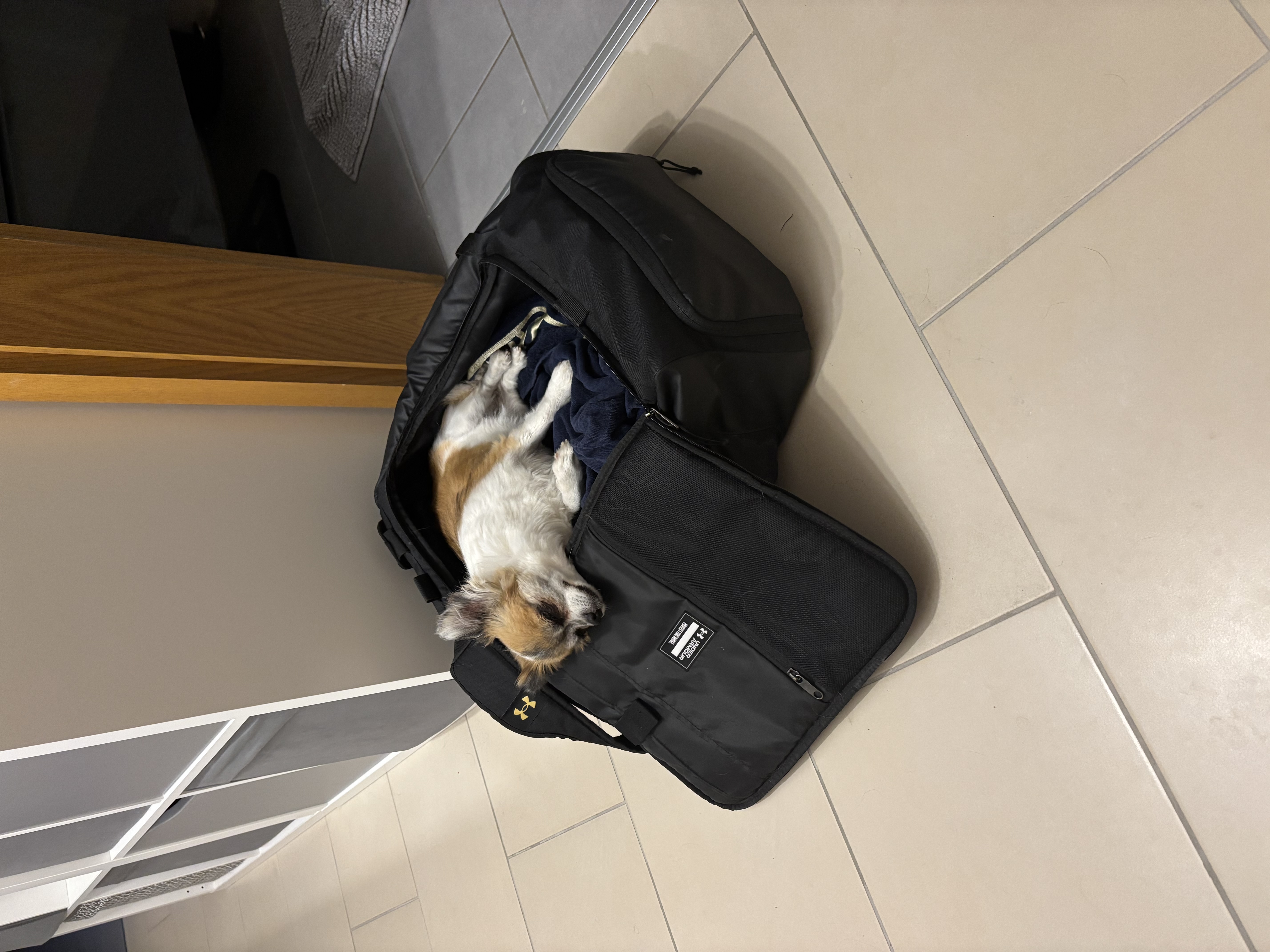 image-17