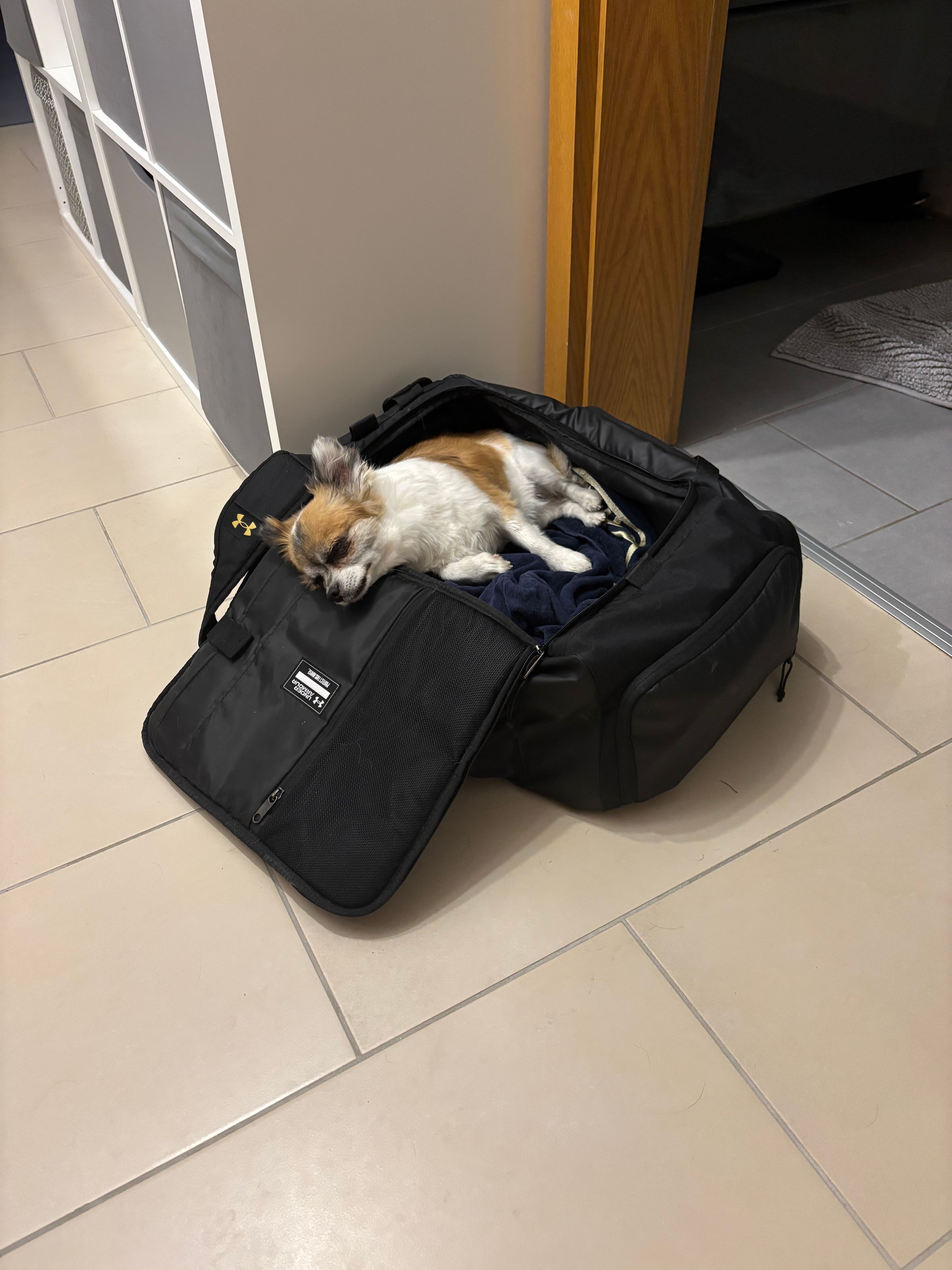 image-17