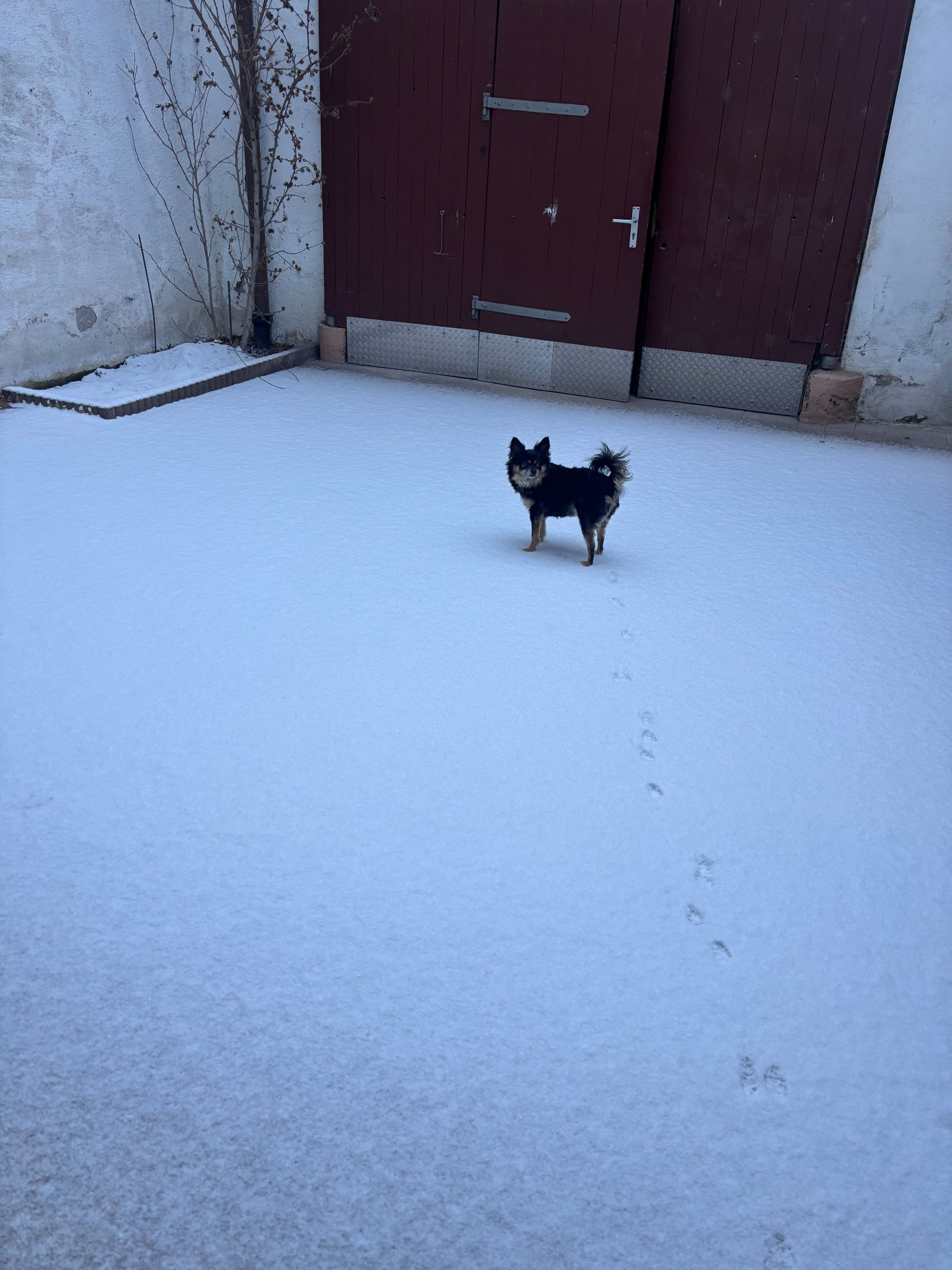 image-18