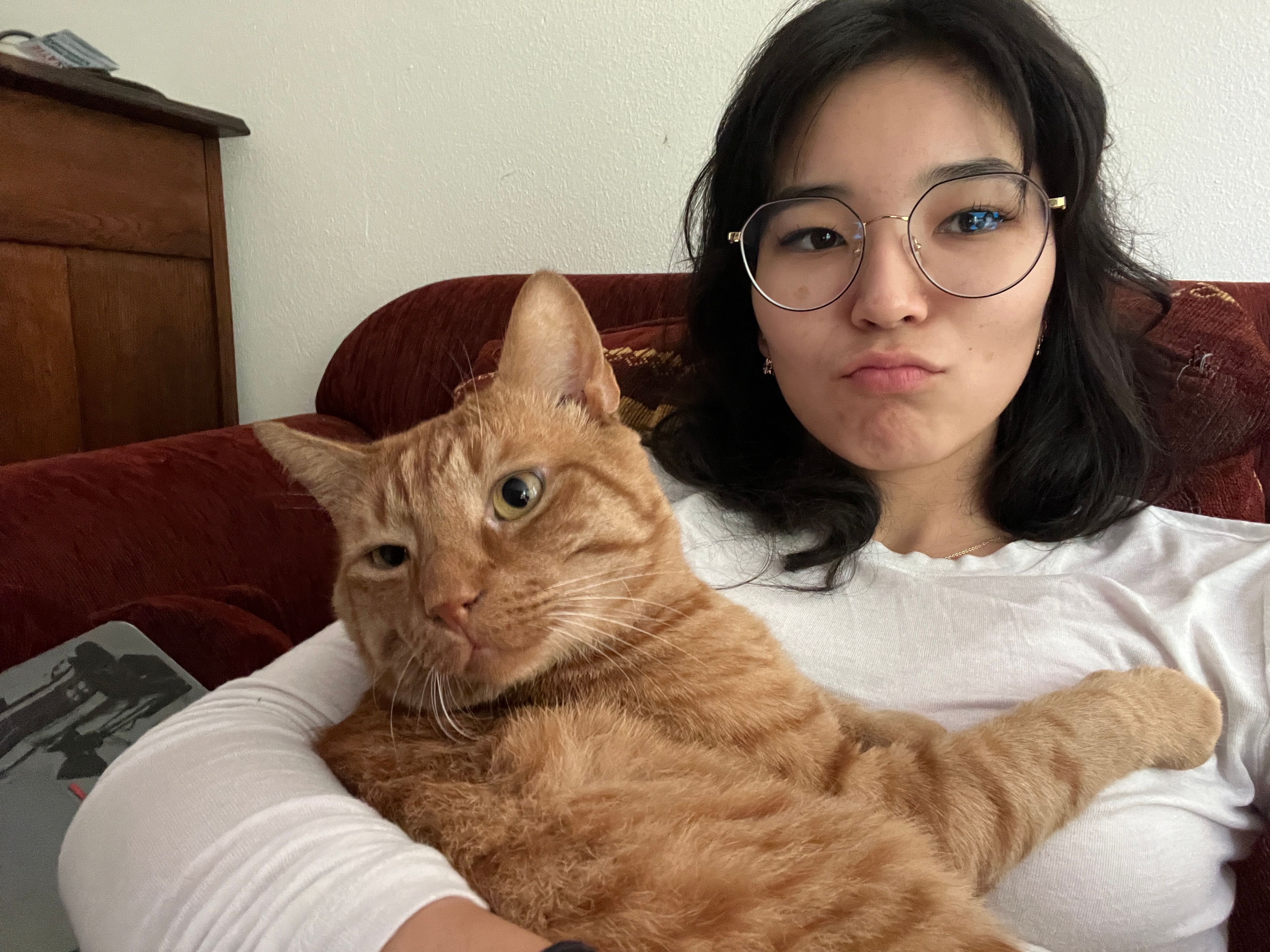 image-6