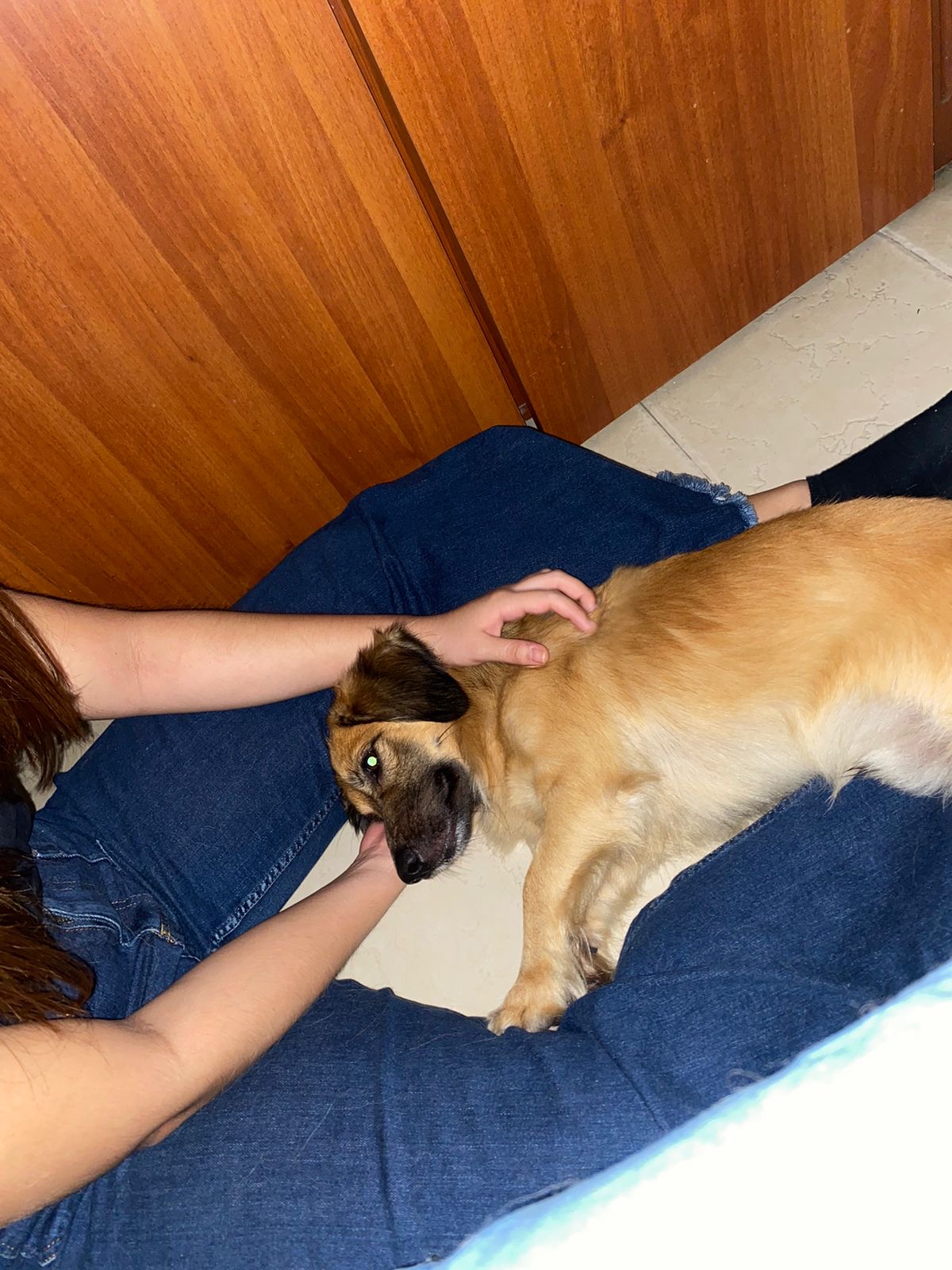 image-6