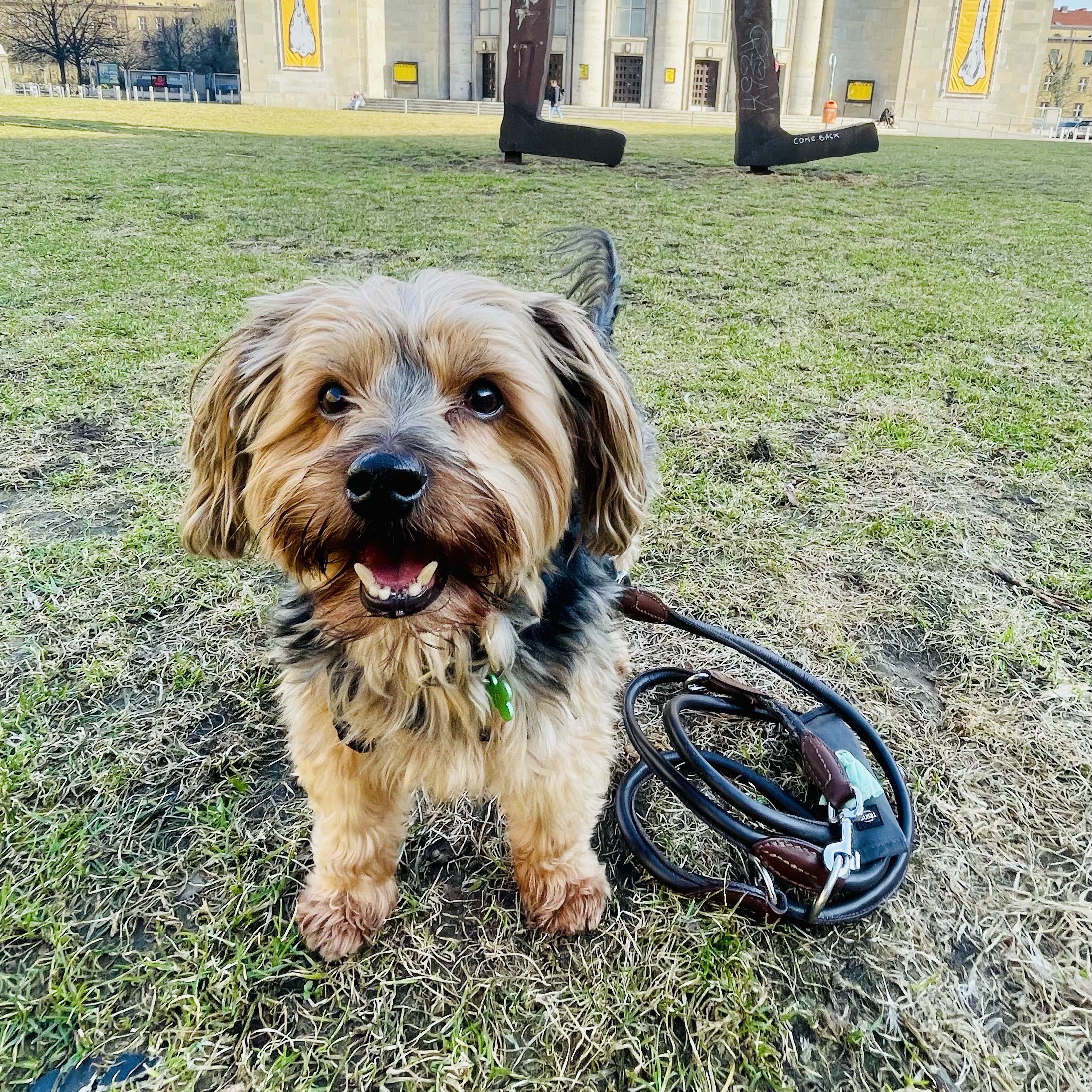 Otto