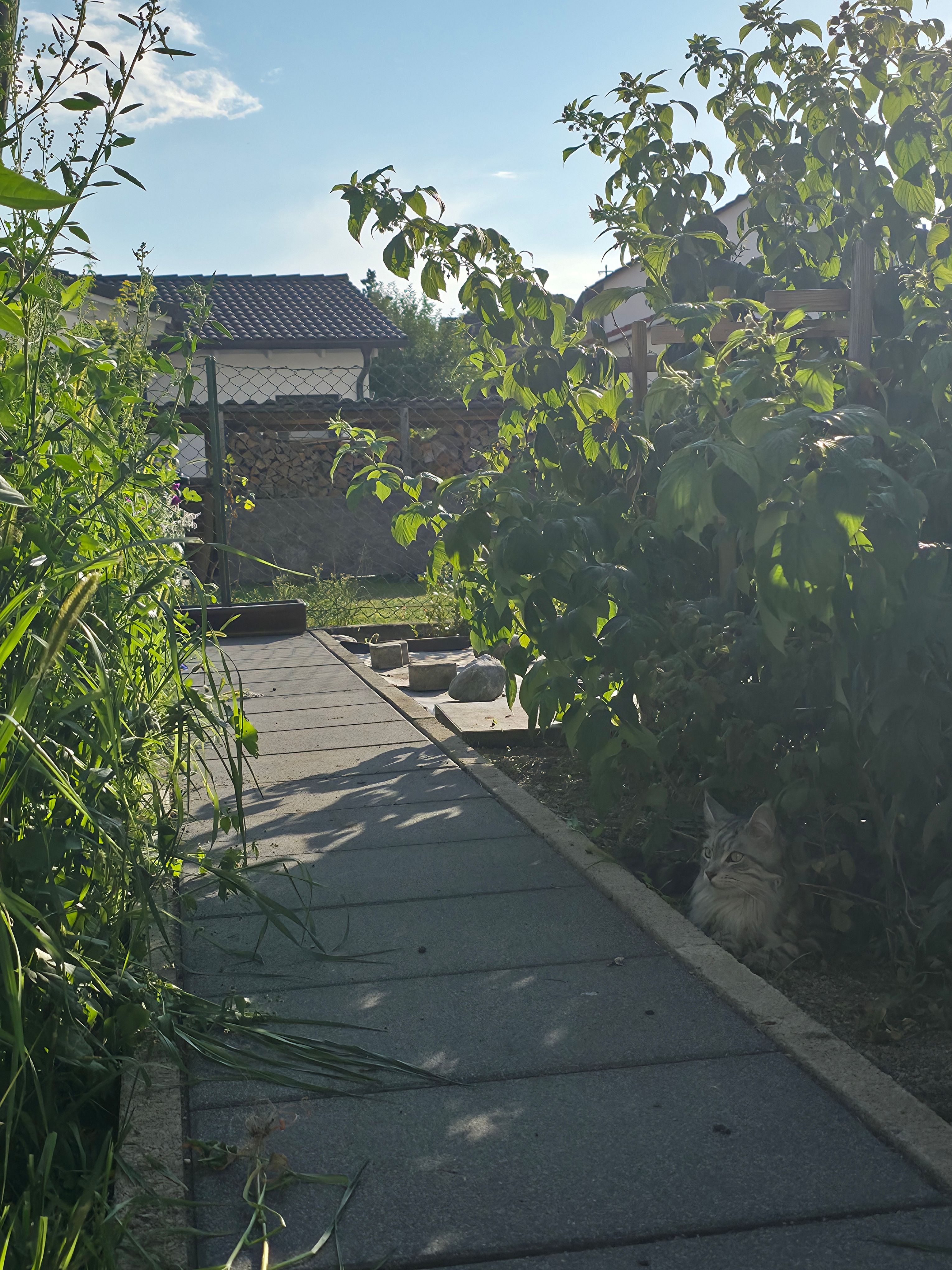 image-18