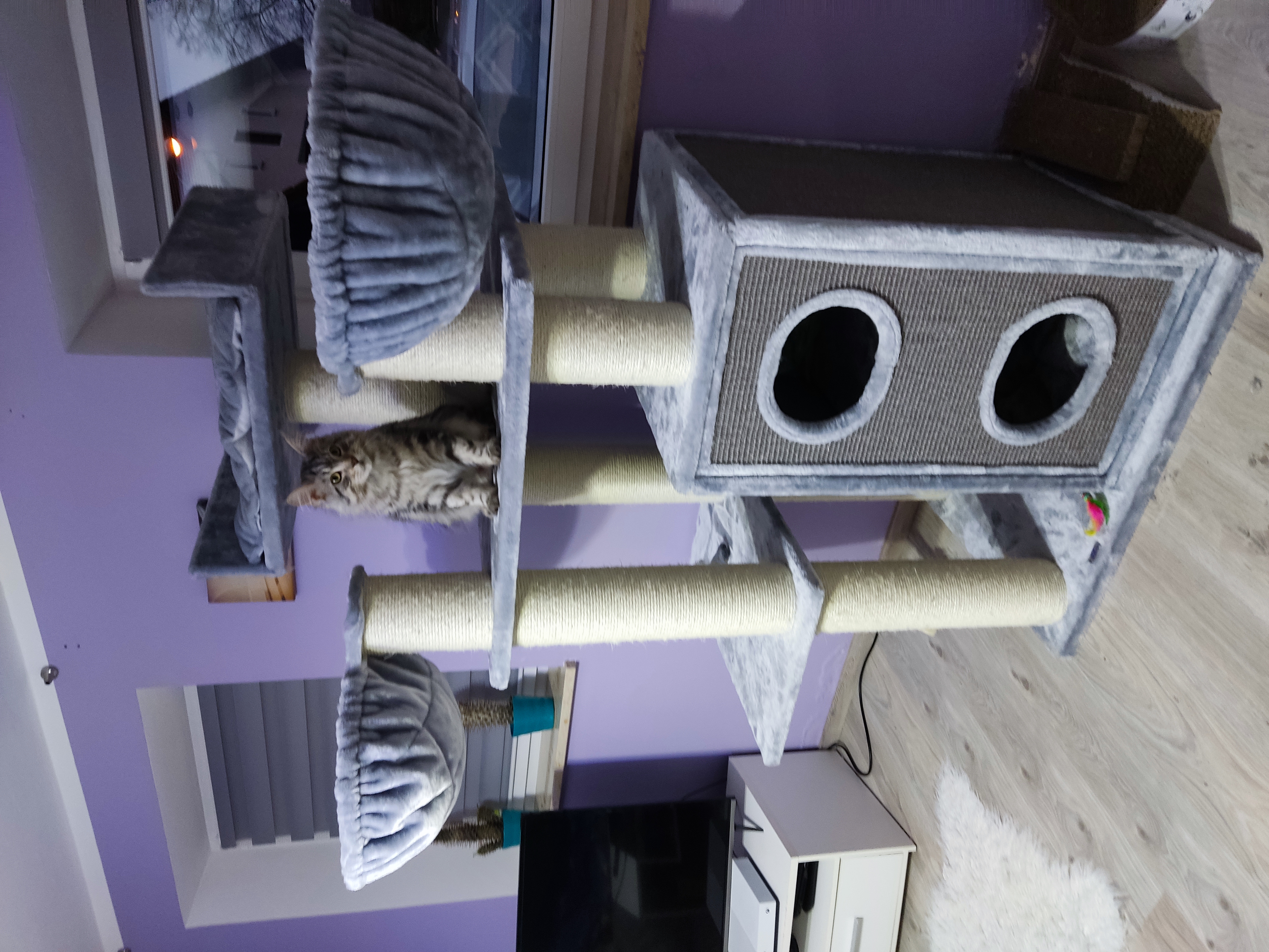 image-9