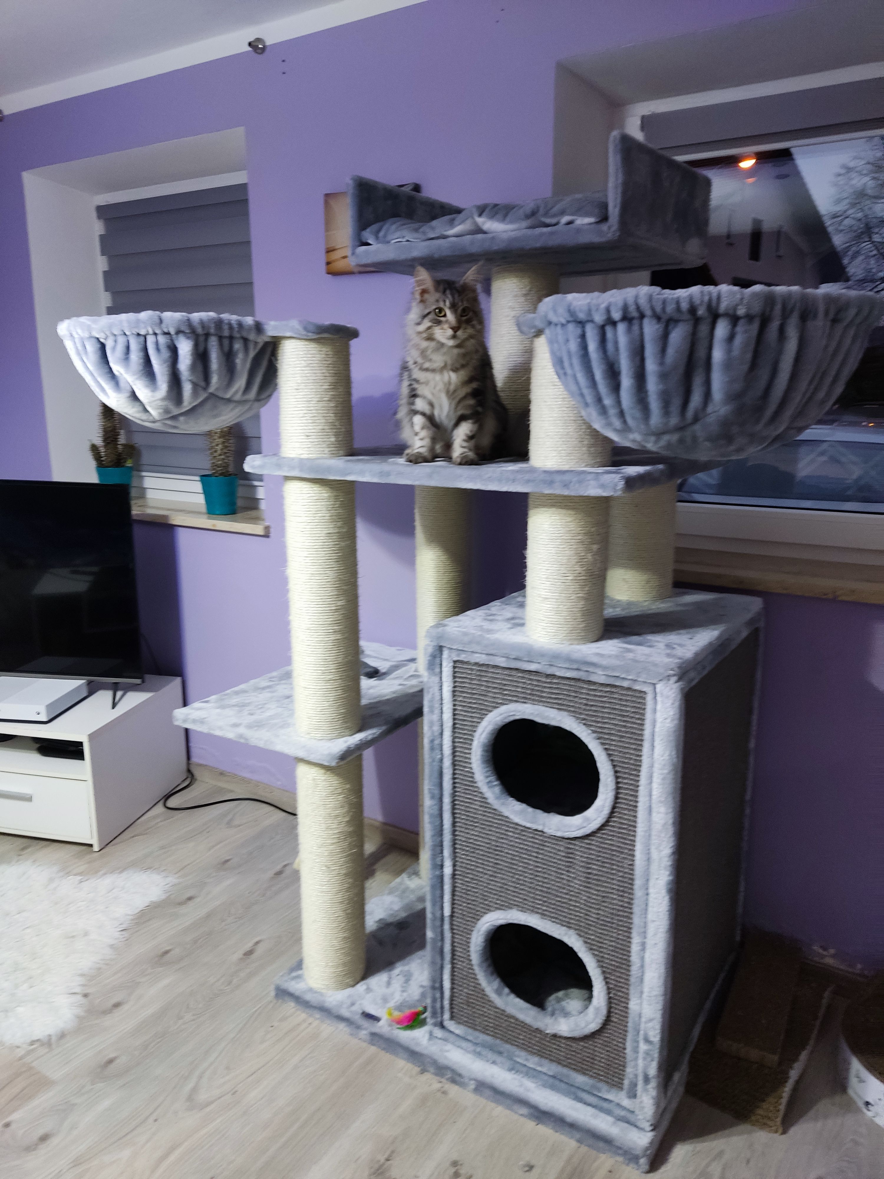 image-9