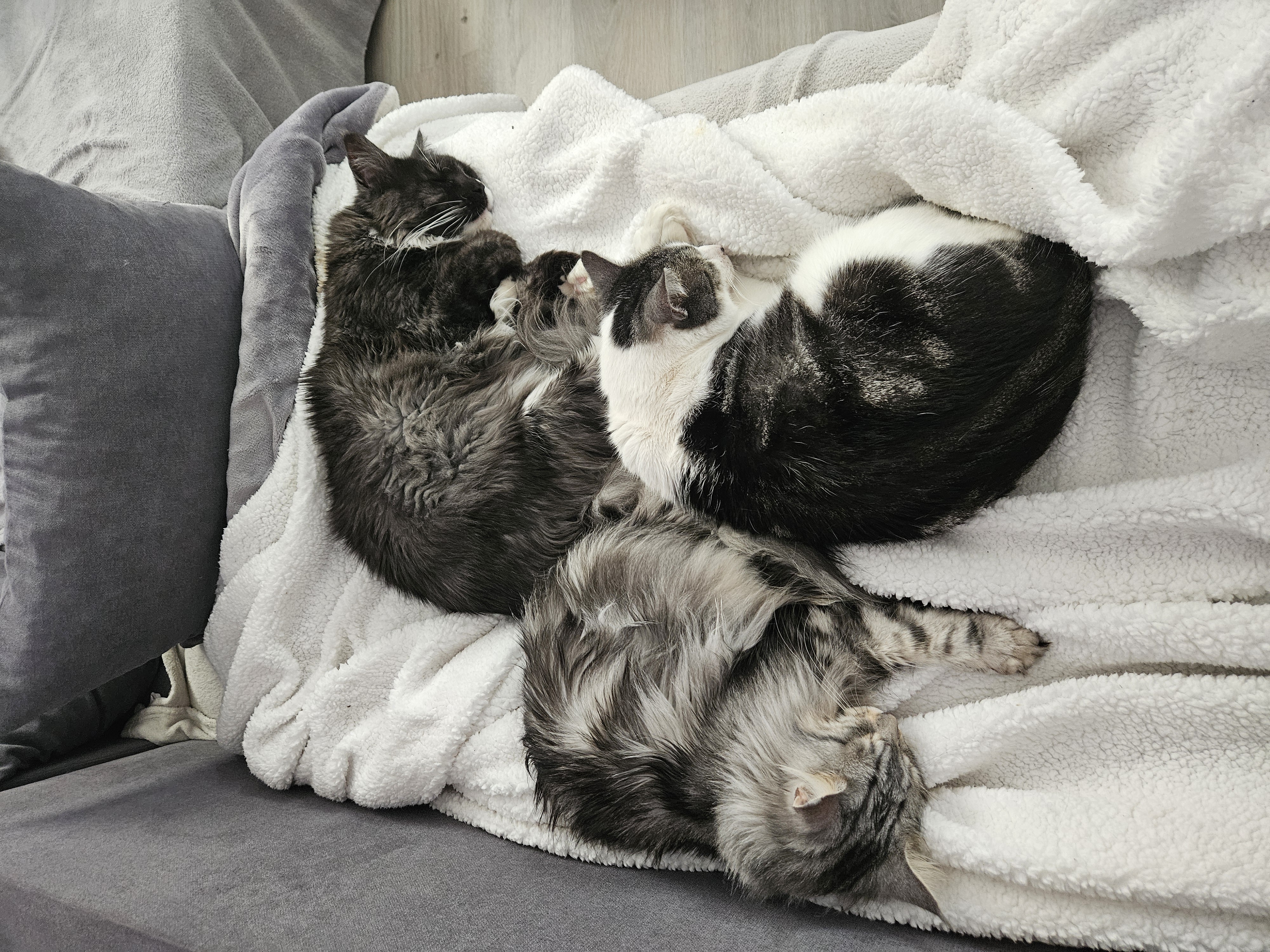 image-14