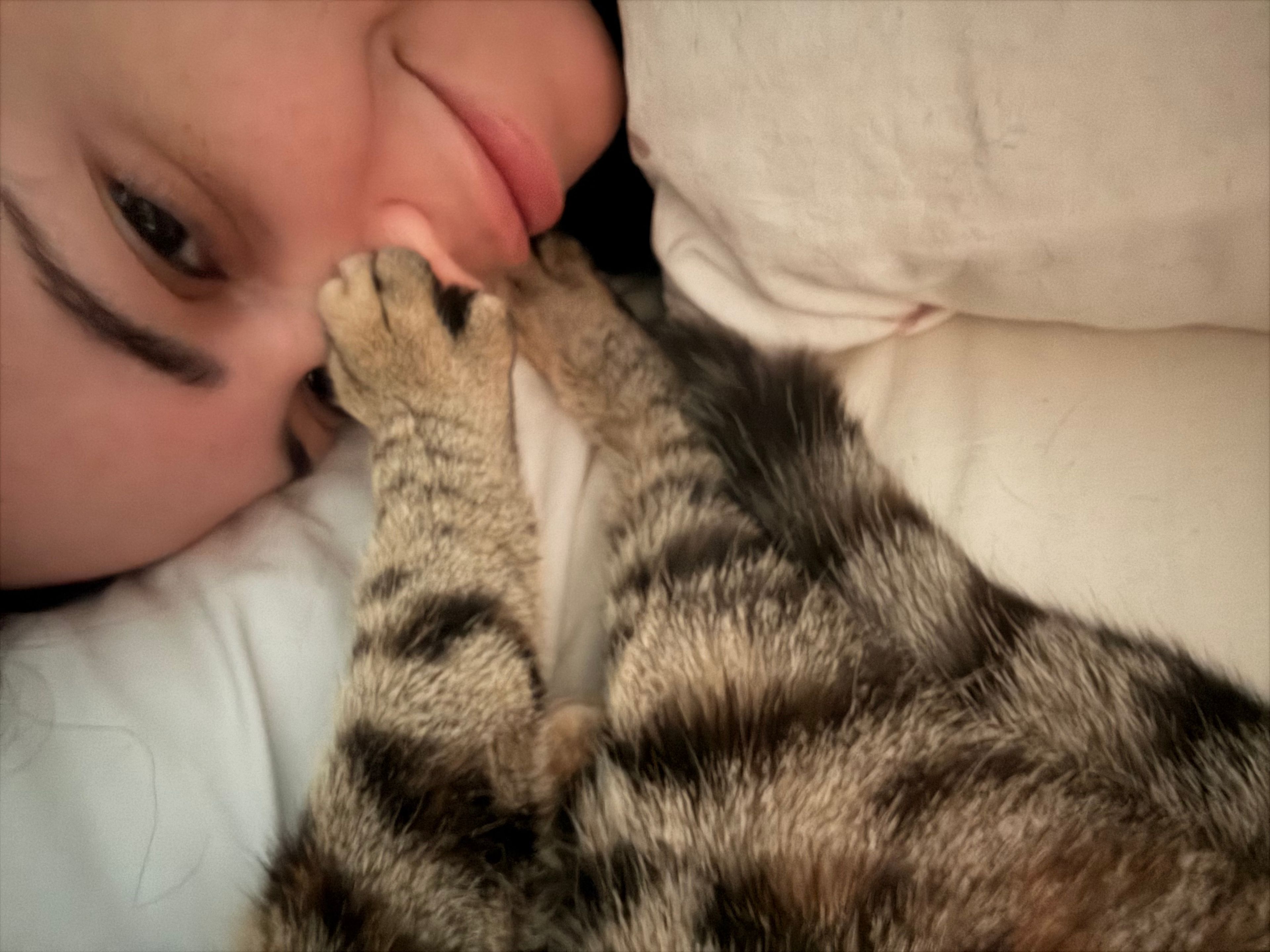 image-8