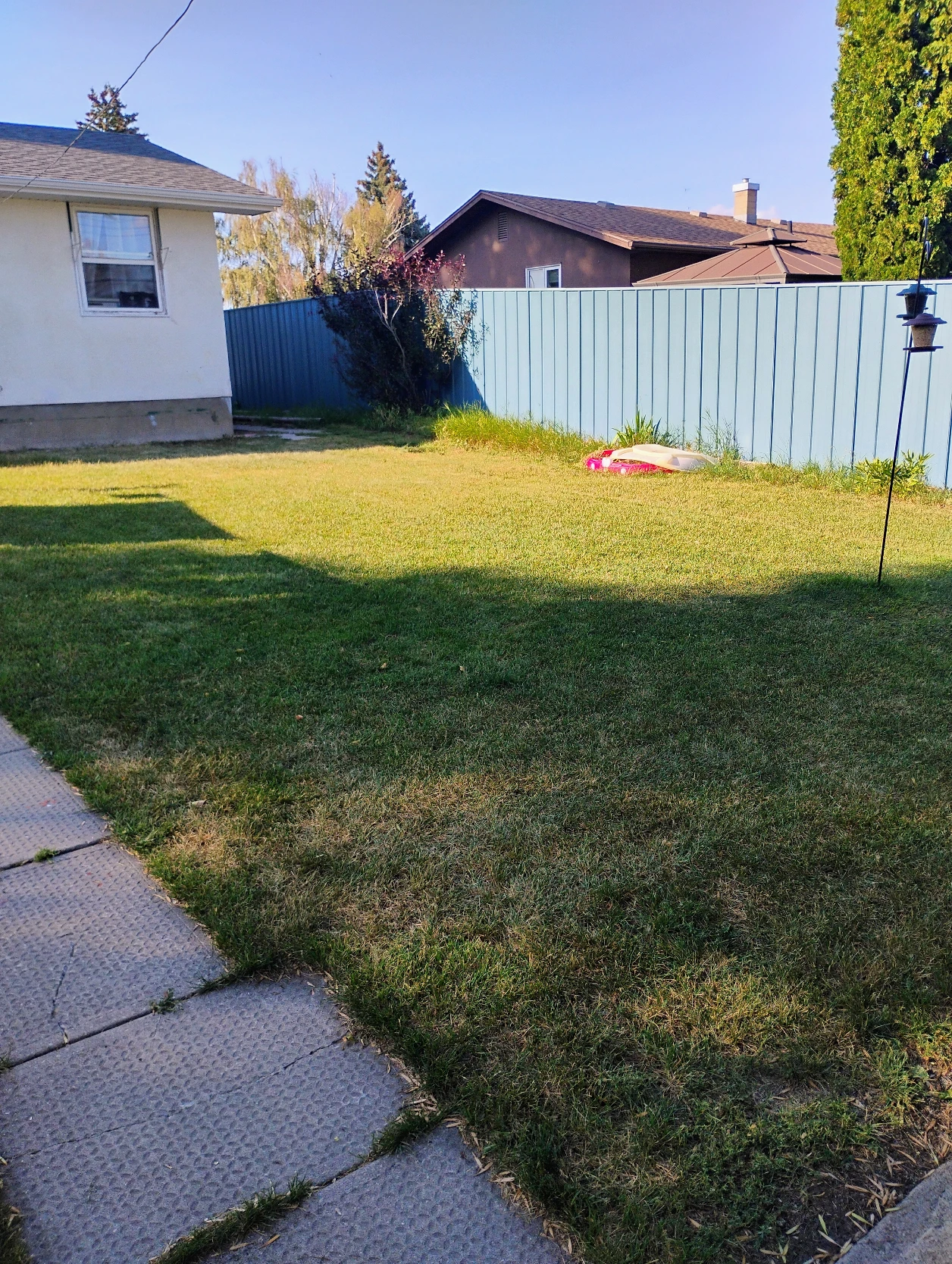 image-14
