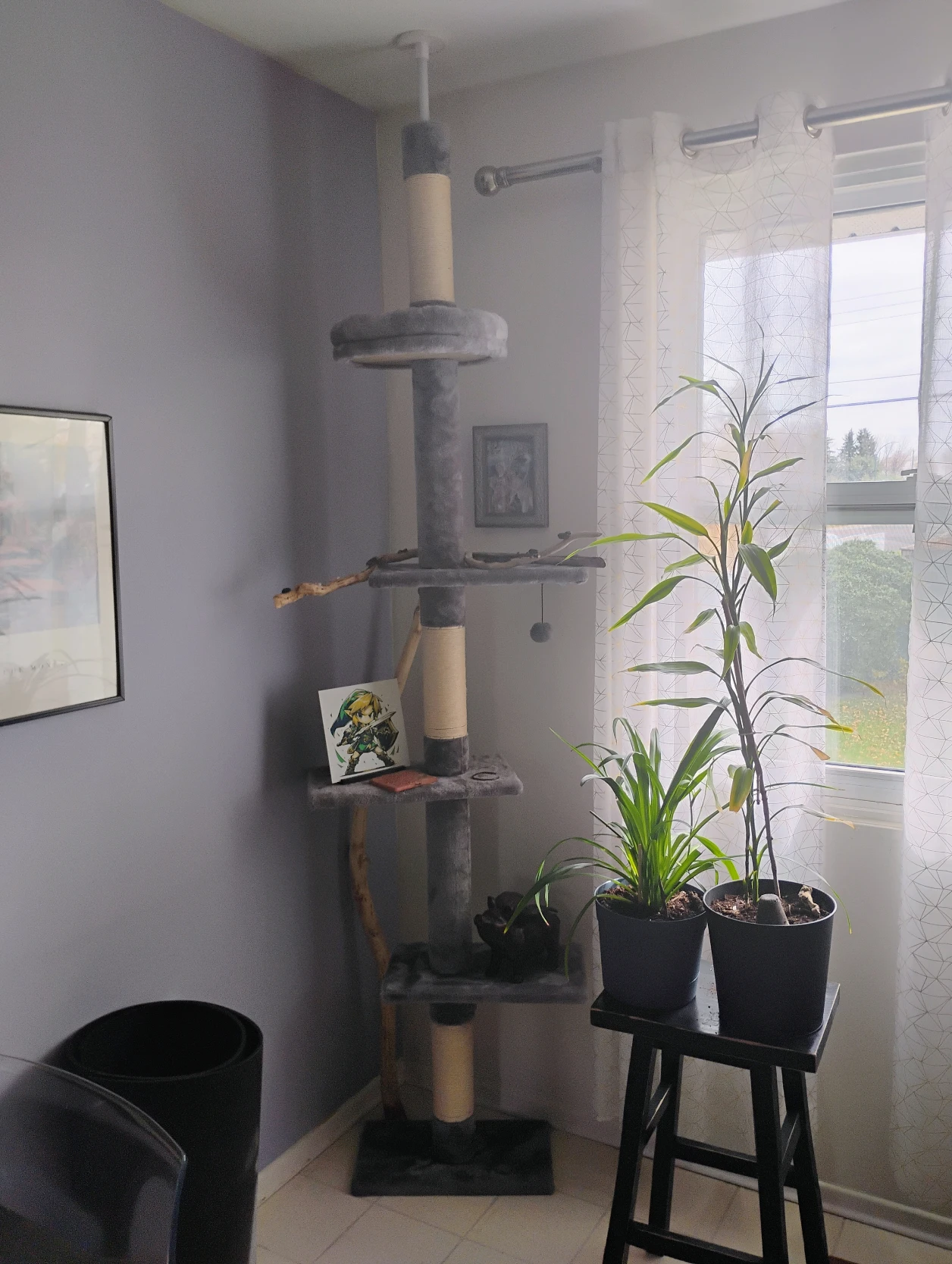 image-19