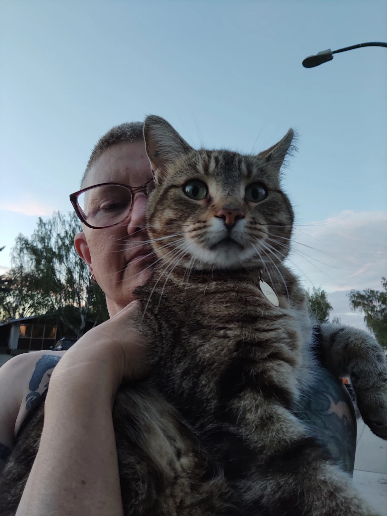 image-6