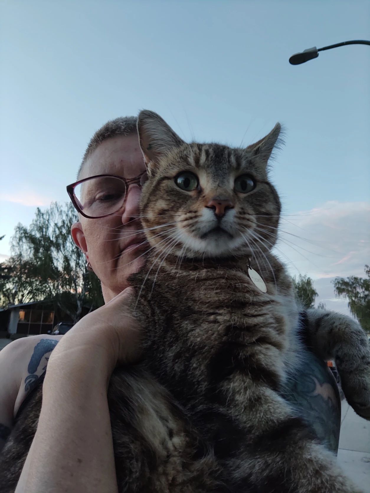 image-6