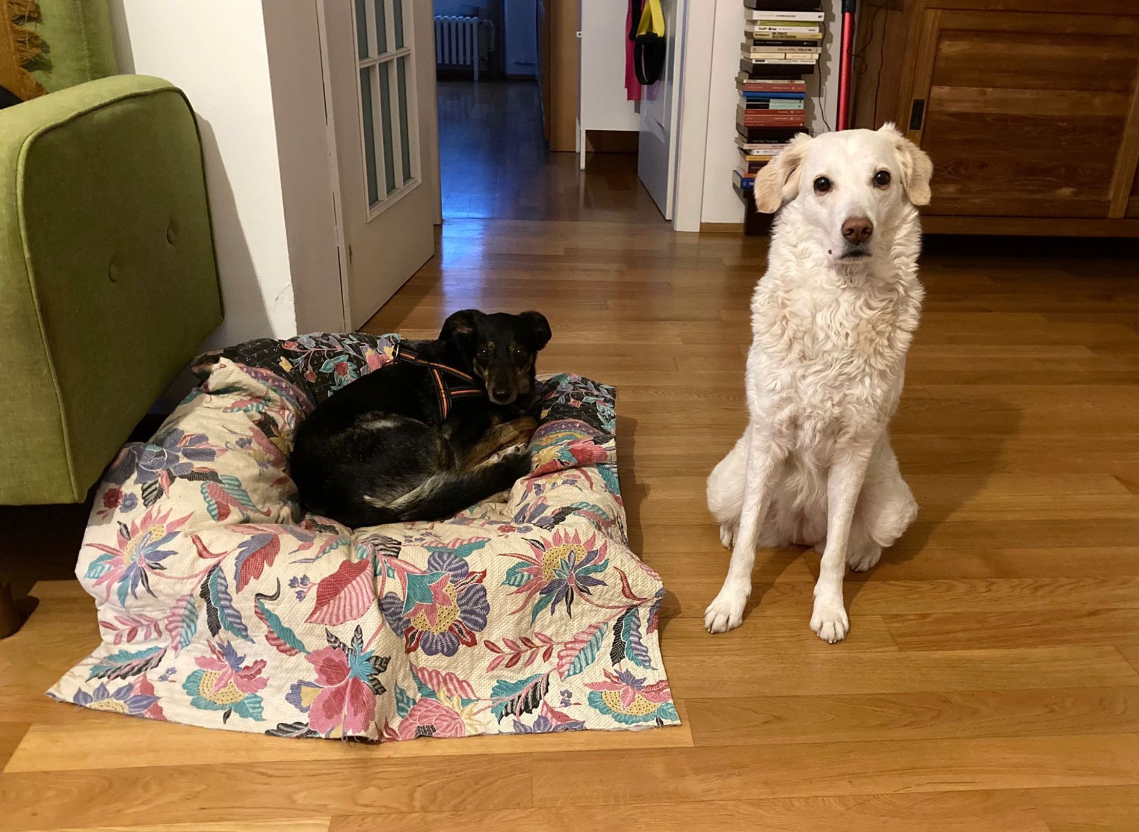 image-10