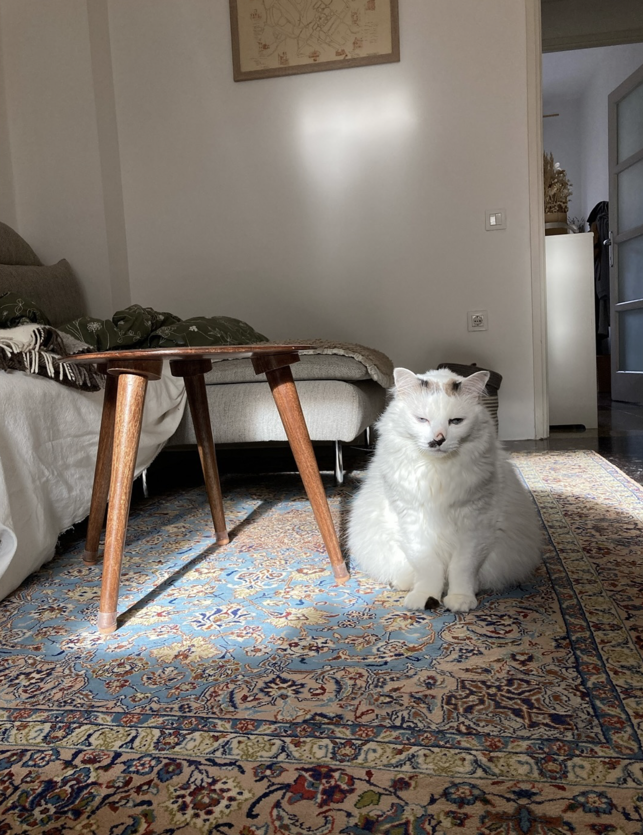 image-6