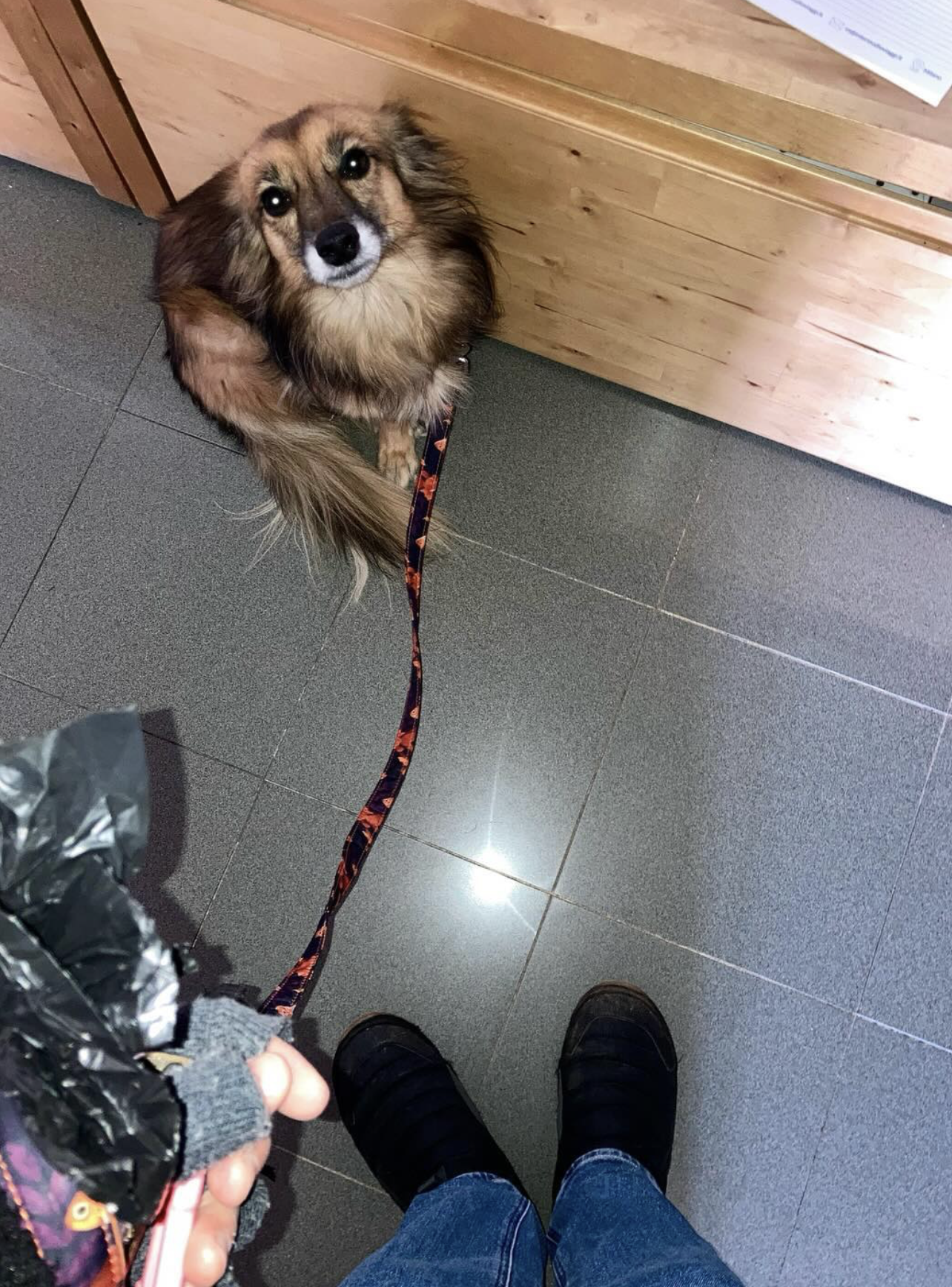 image-7