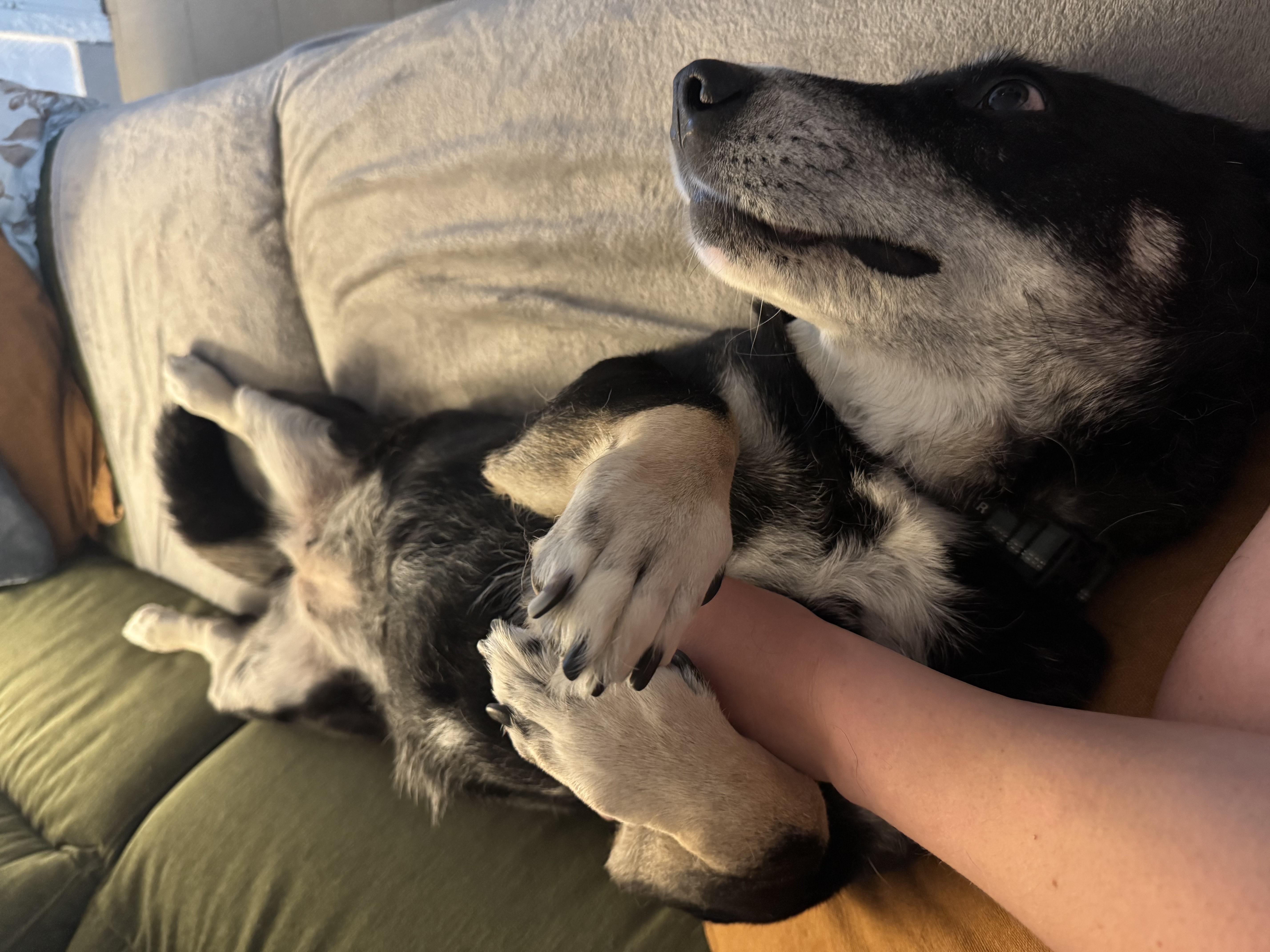 image-6
