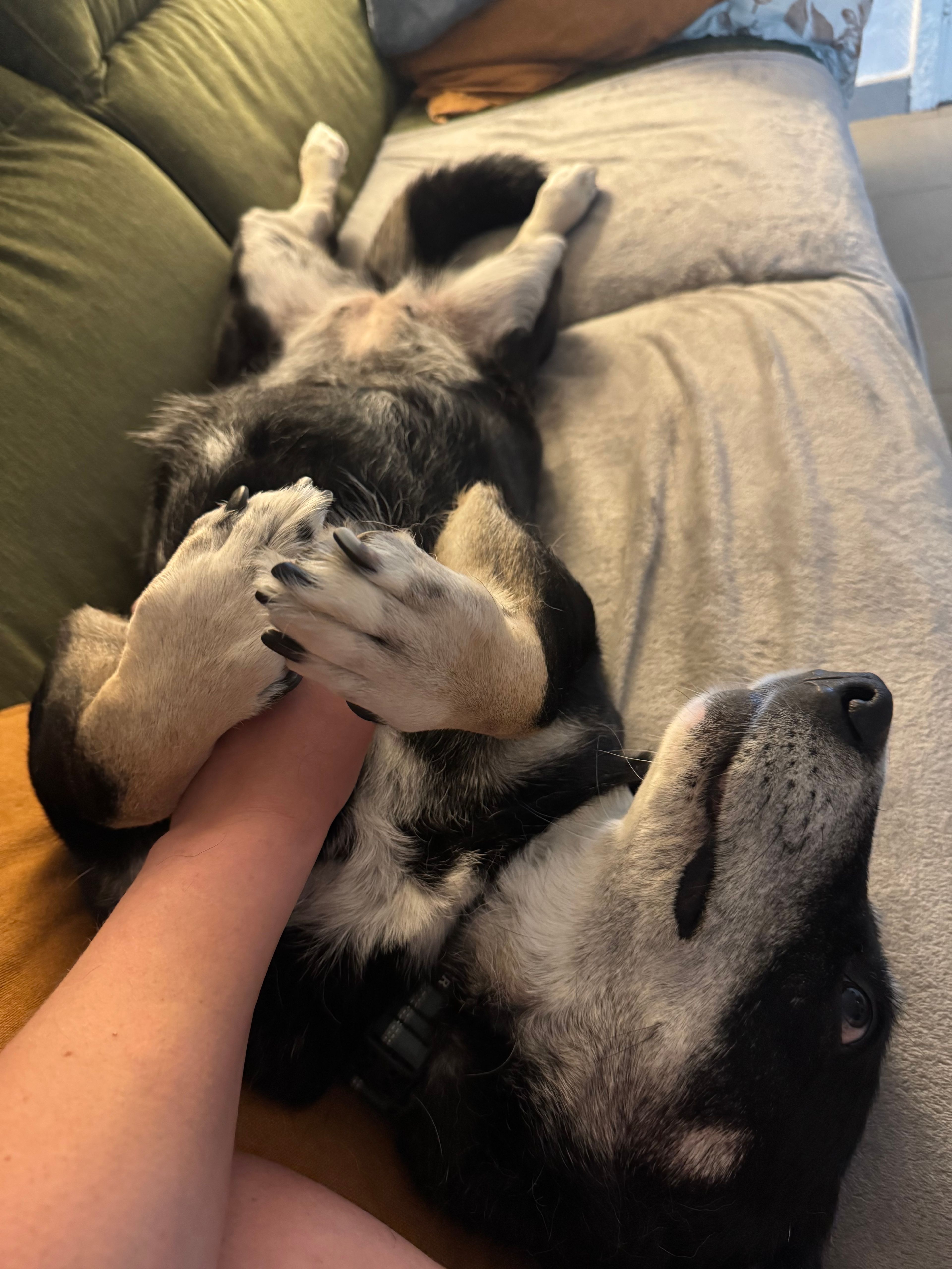 image-6
