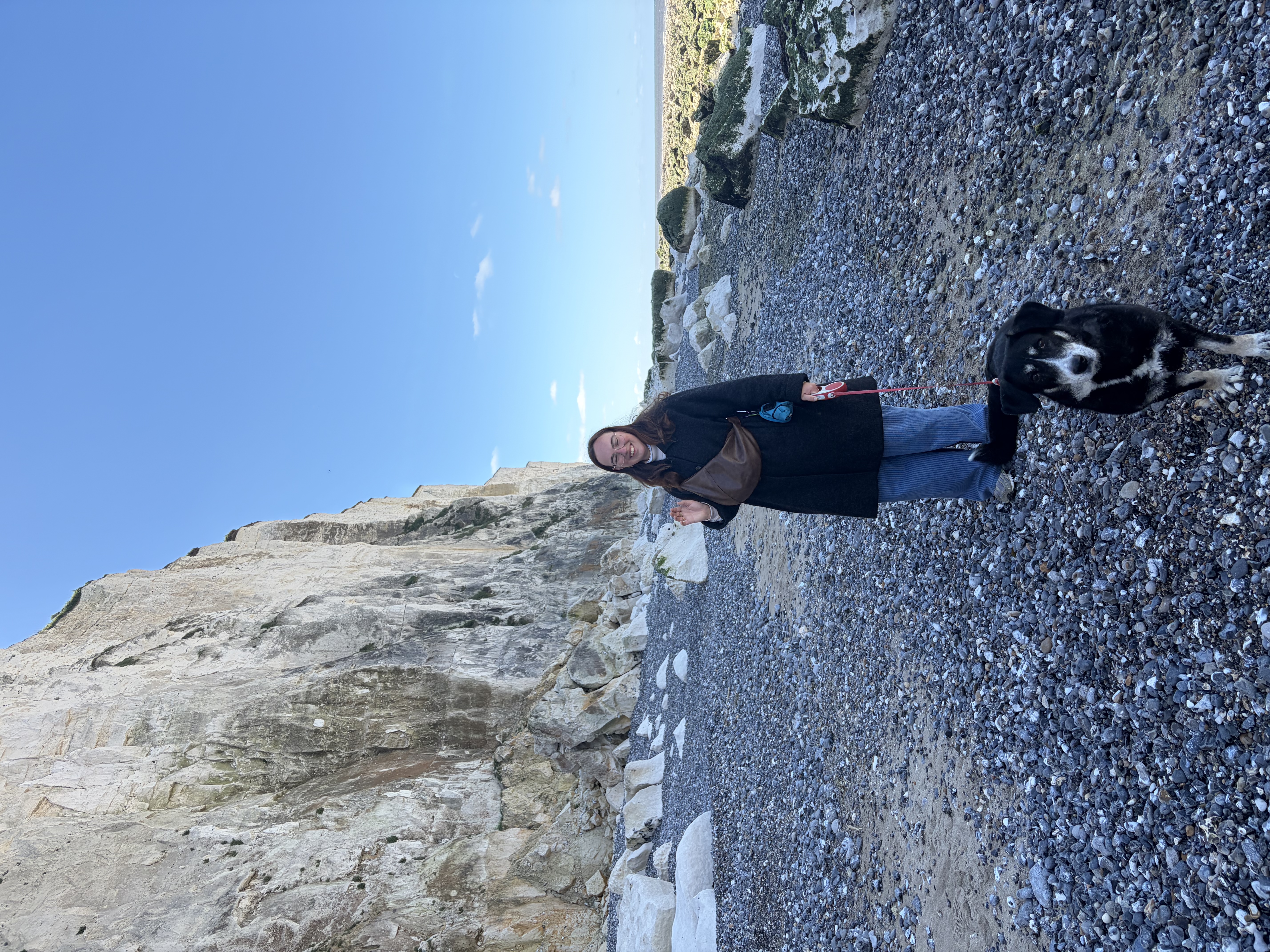 image-7