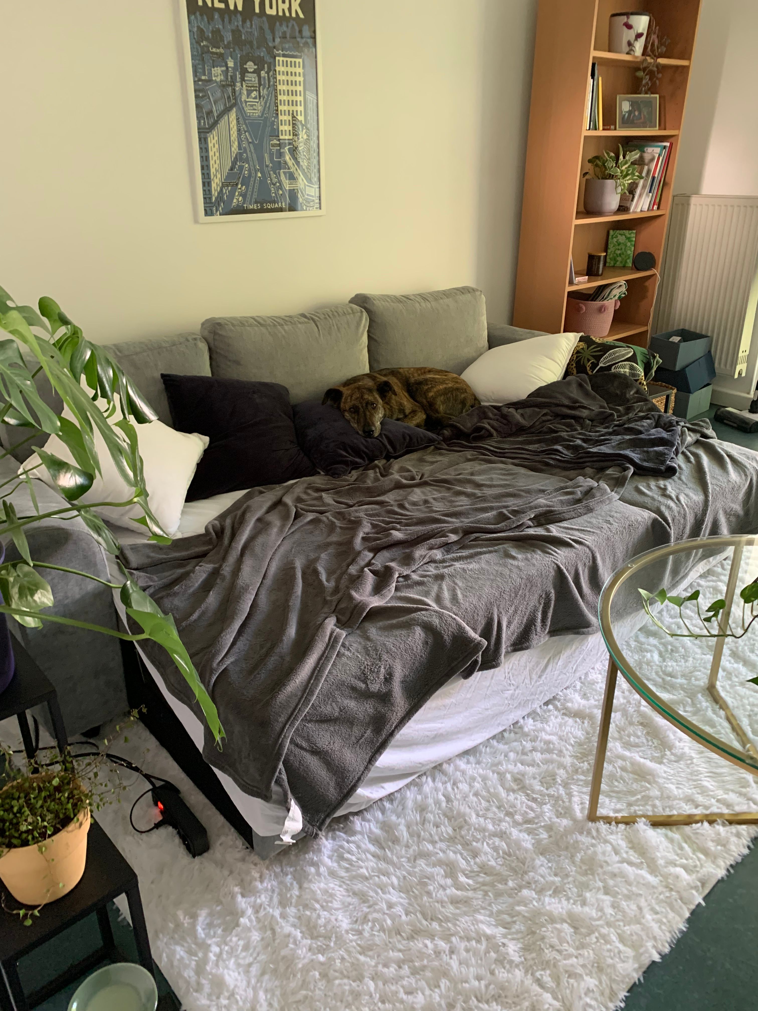 image-7