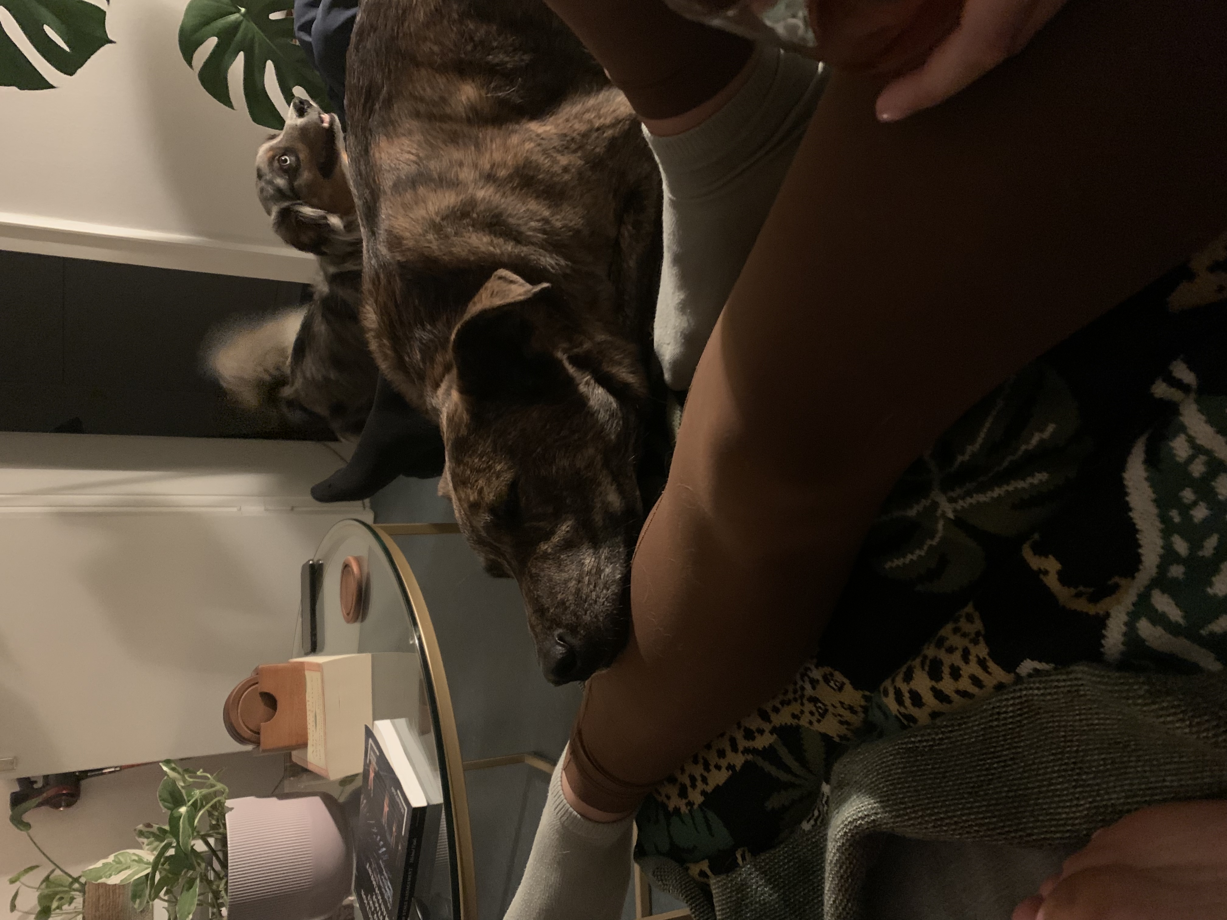 image-9