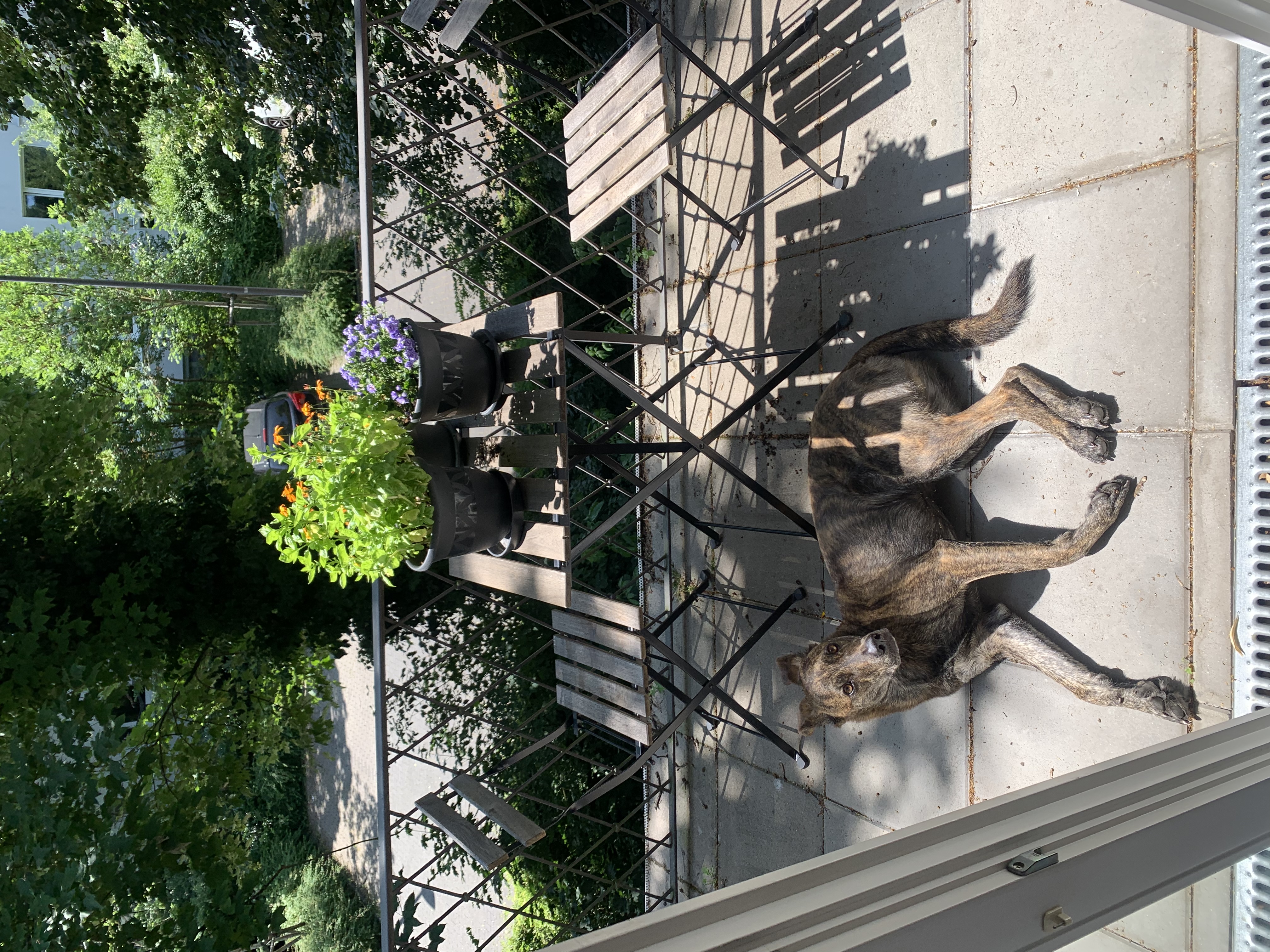 image-8
