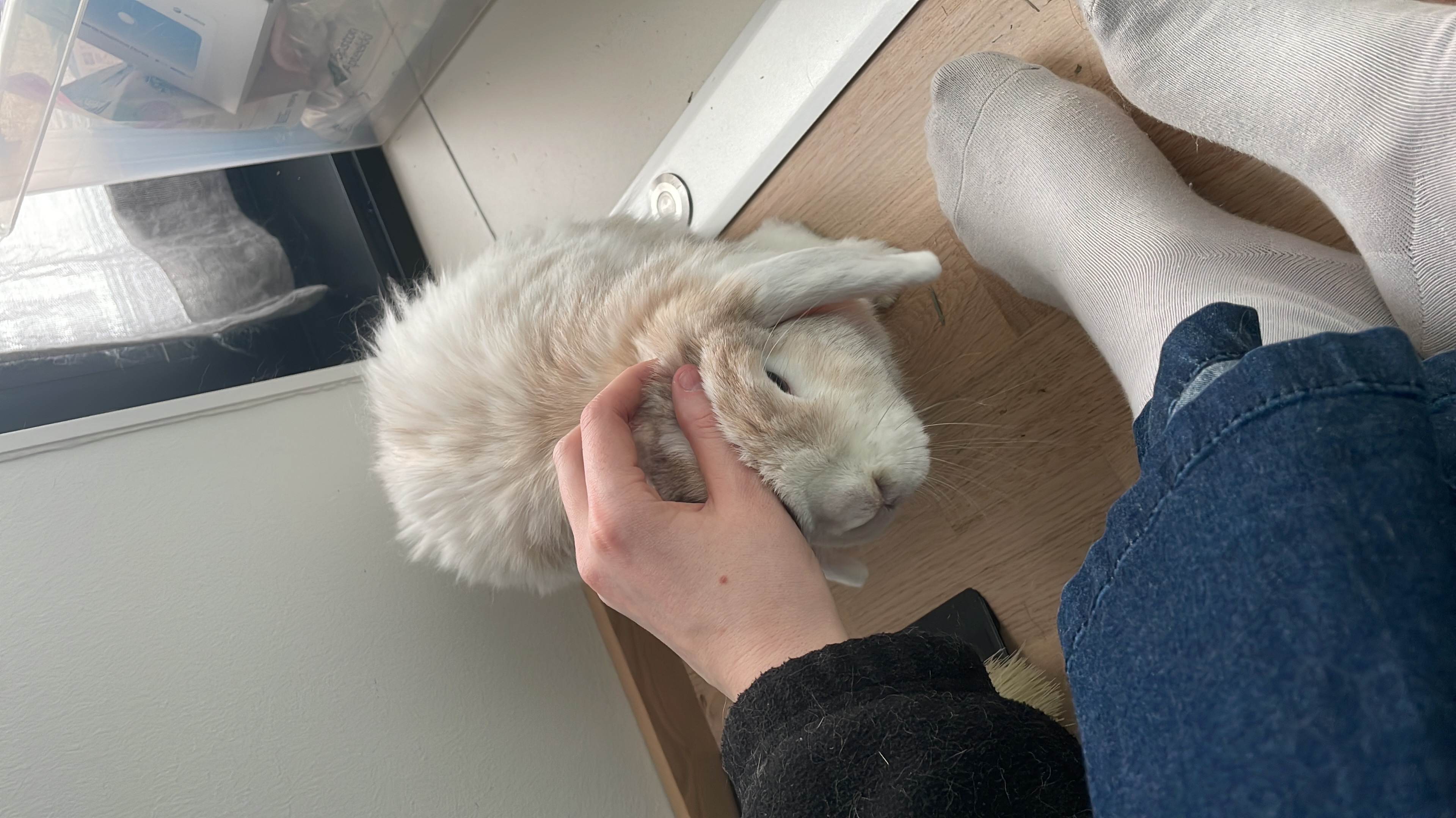 image-16
