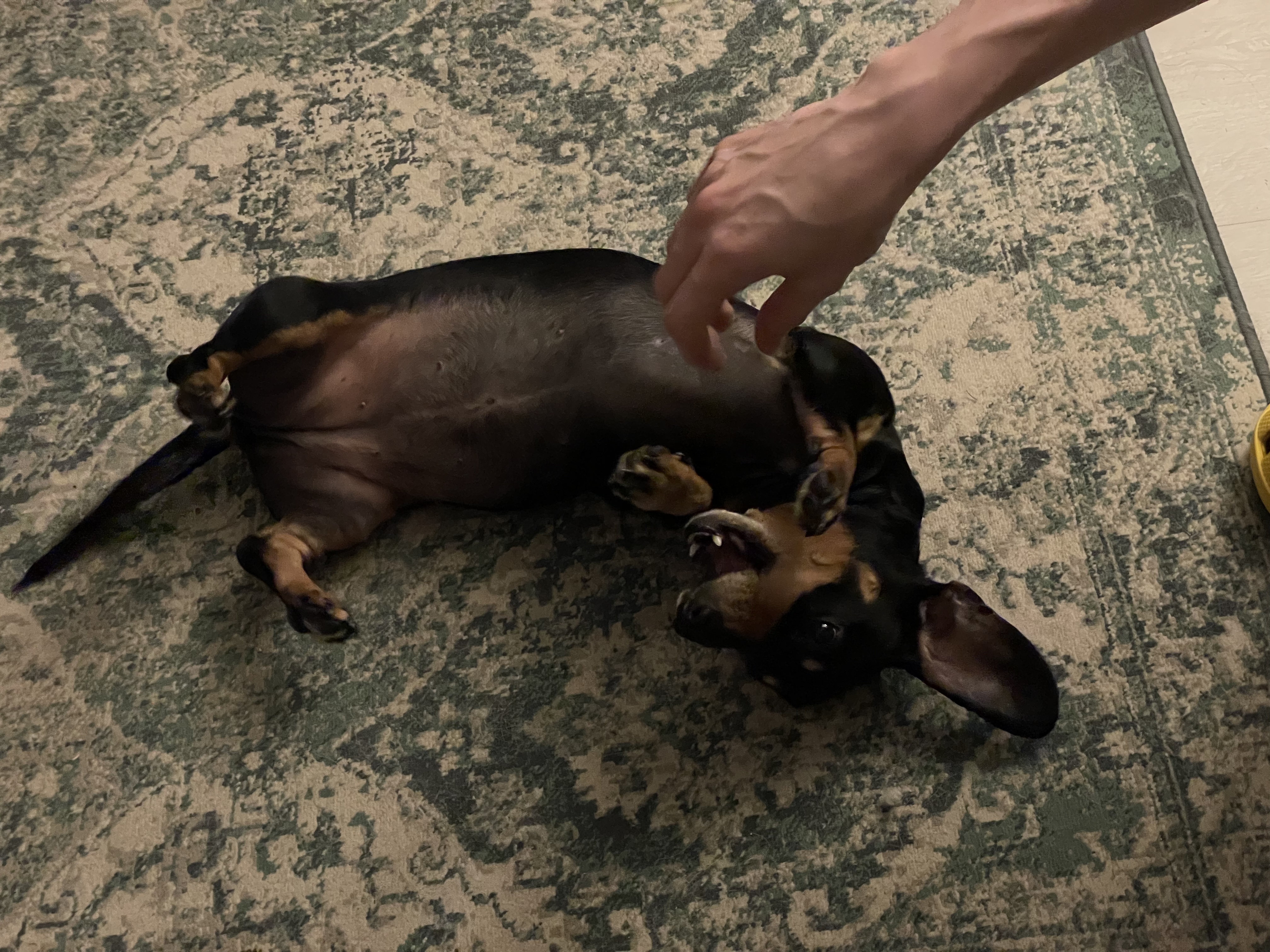 image-26