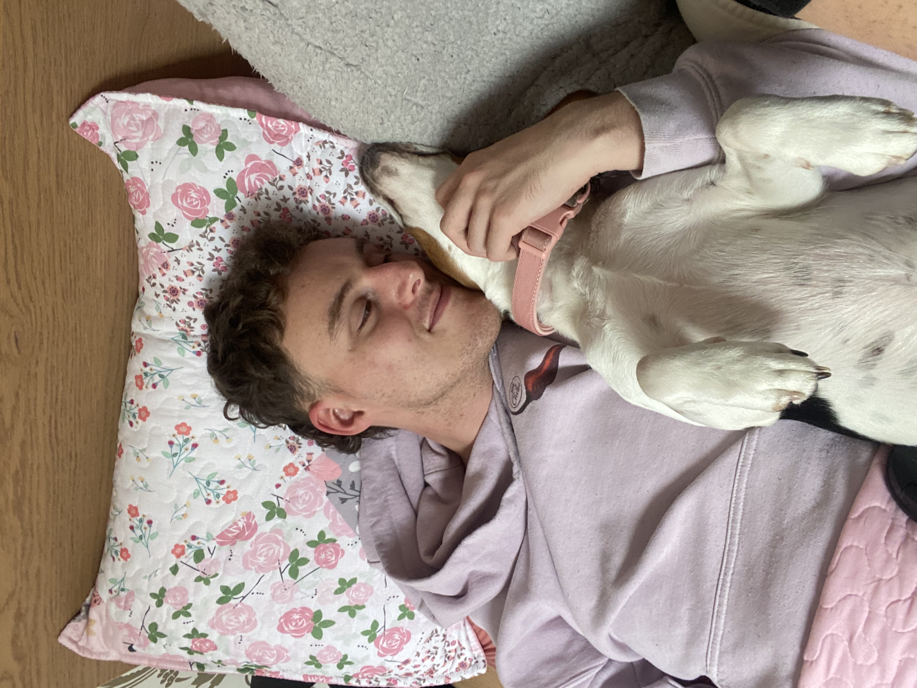 image-7