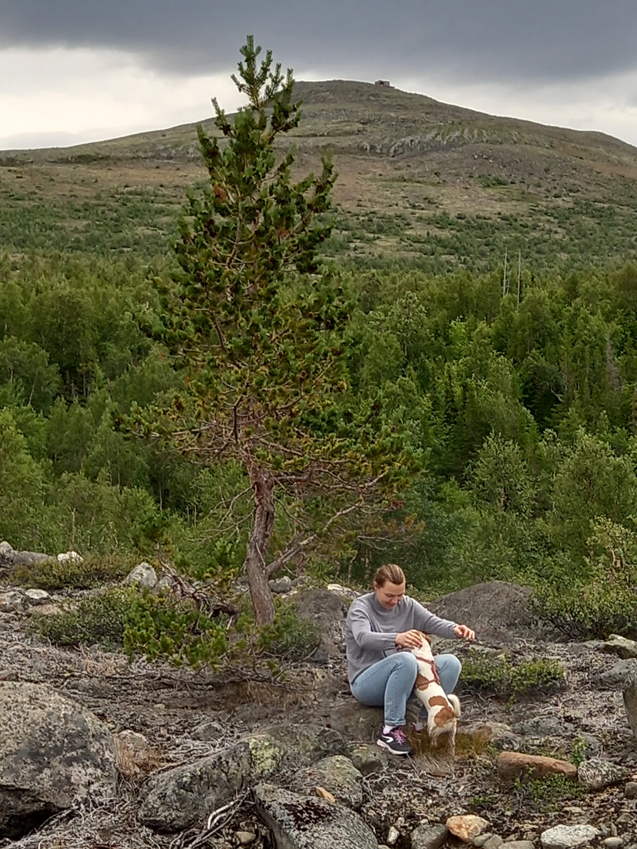 image-6
