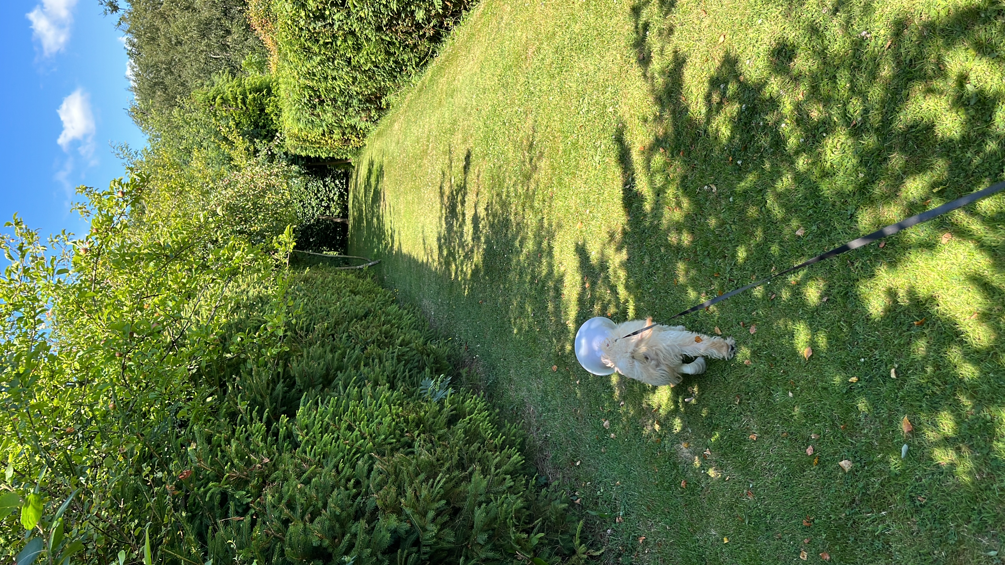 image-18