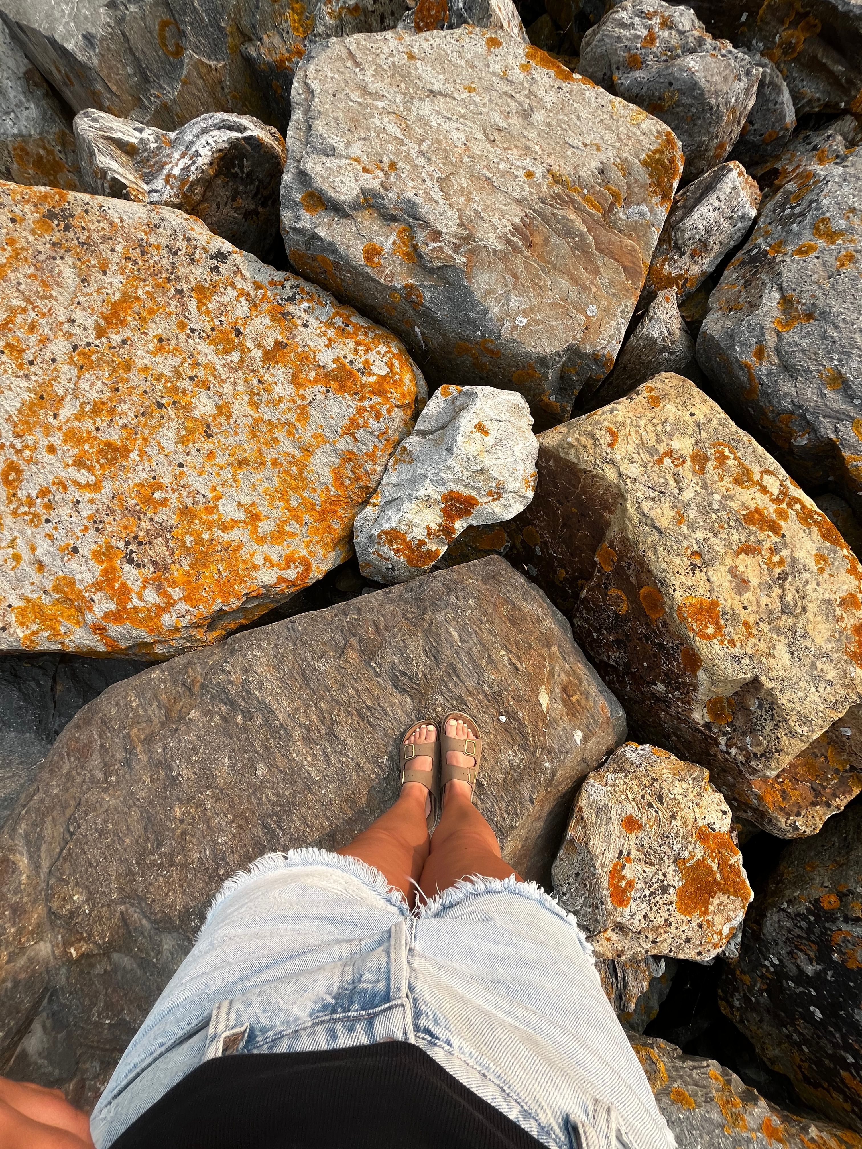 image-2