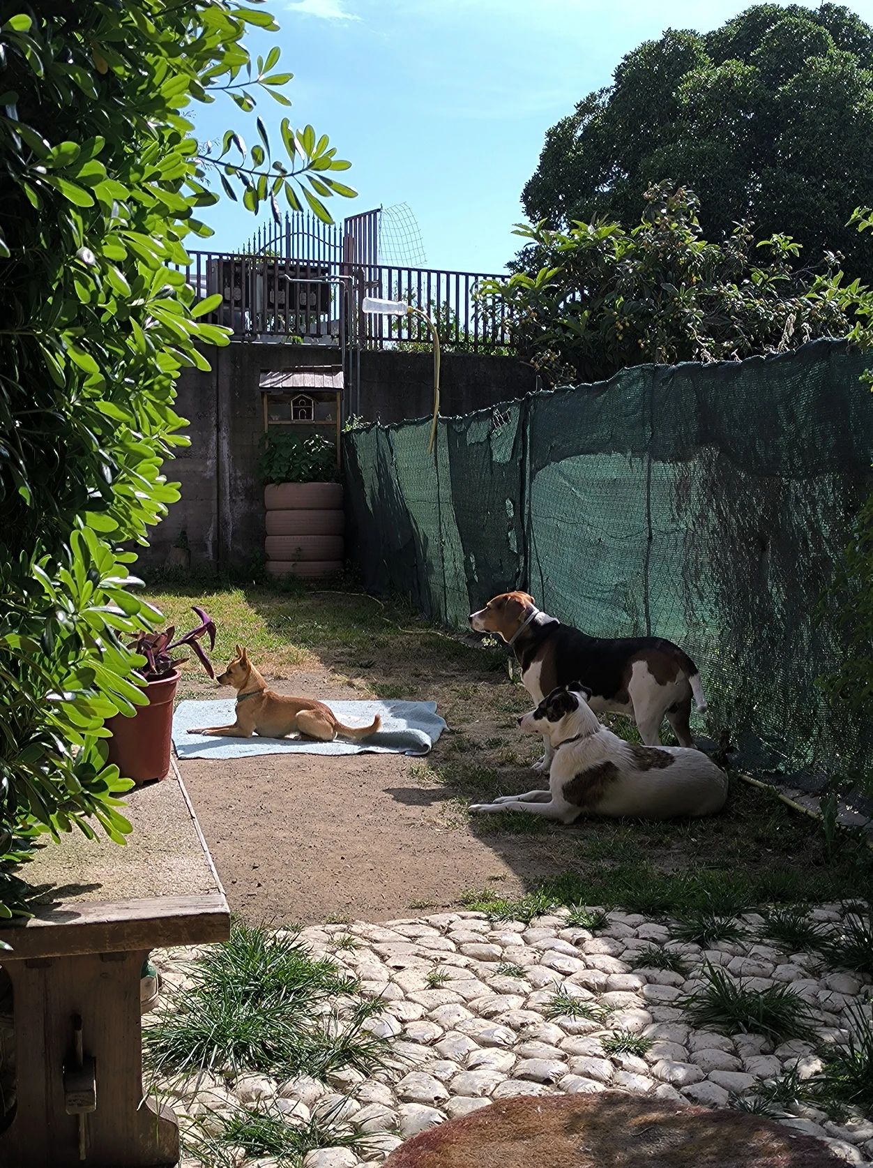 image-6