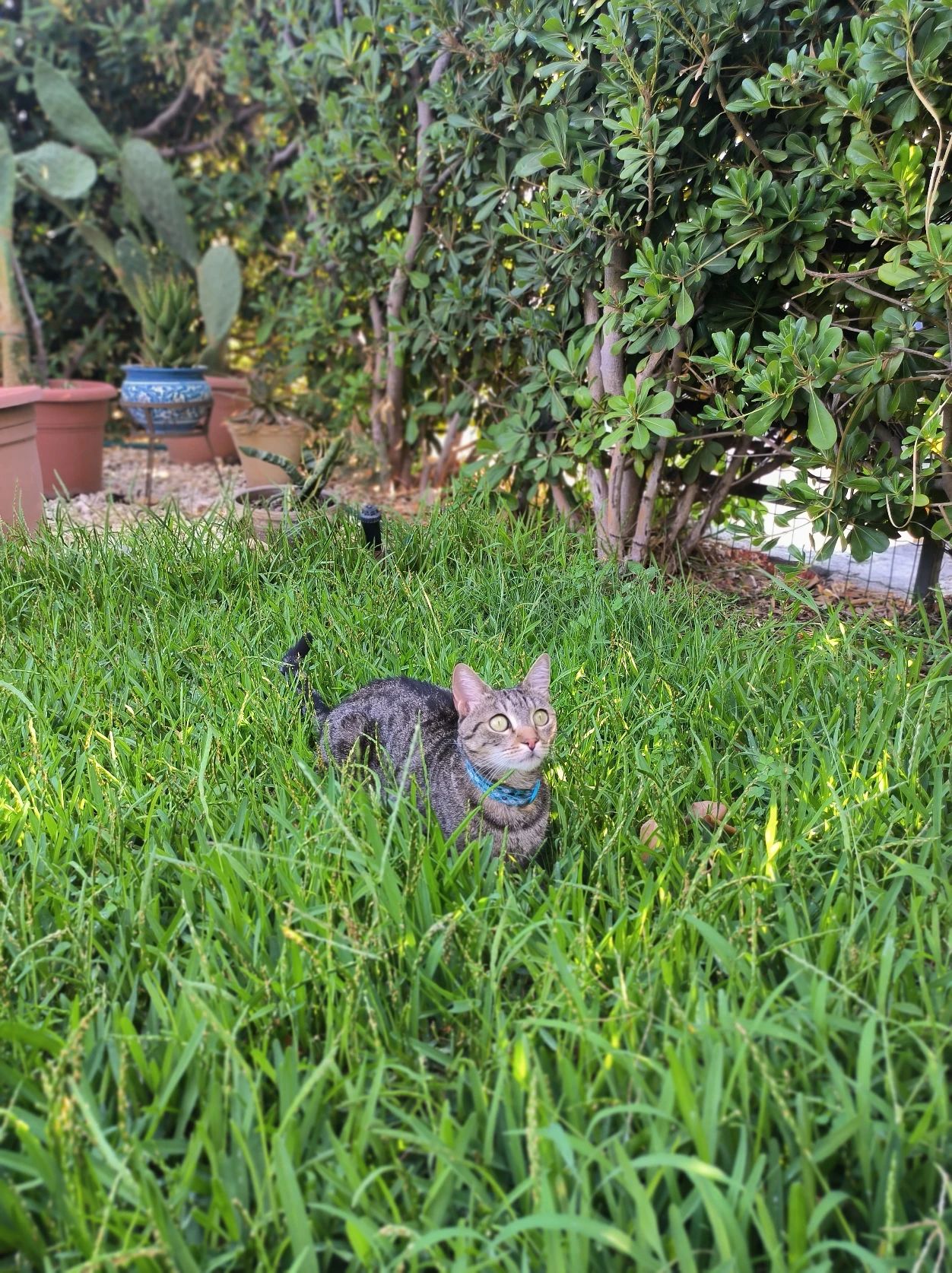image-14
