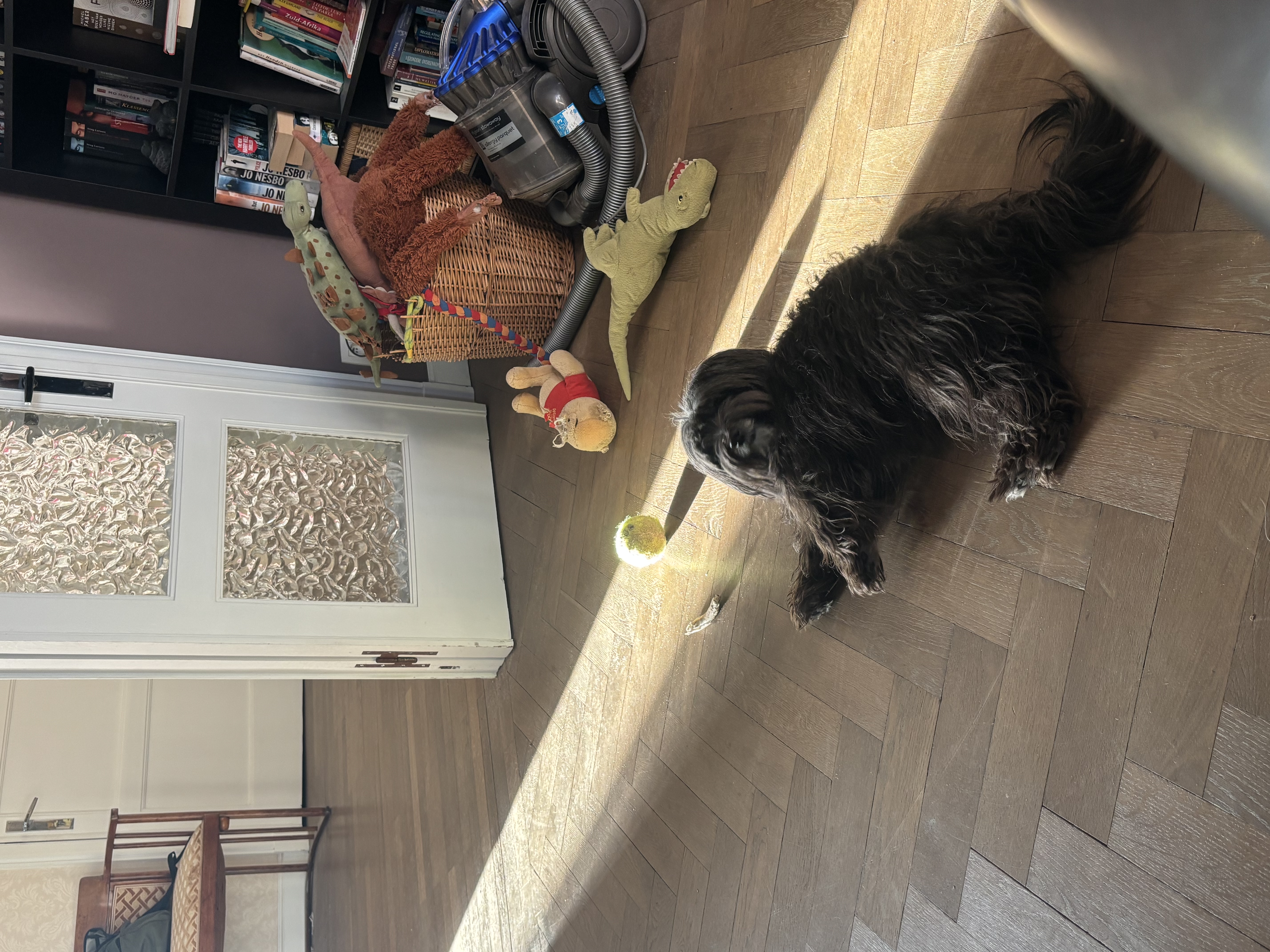 image-12