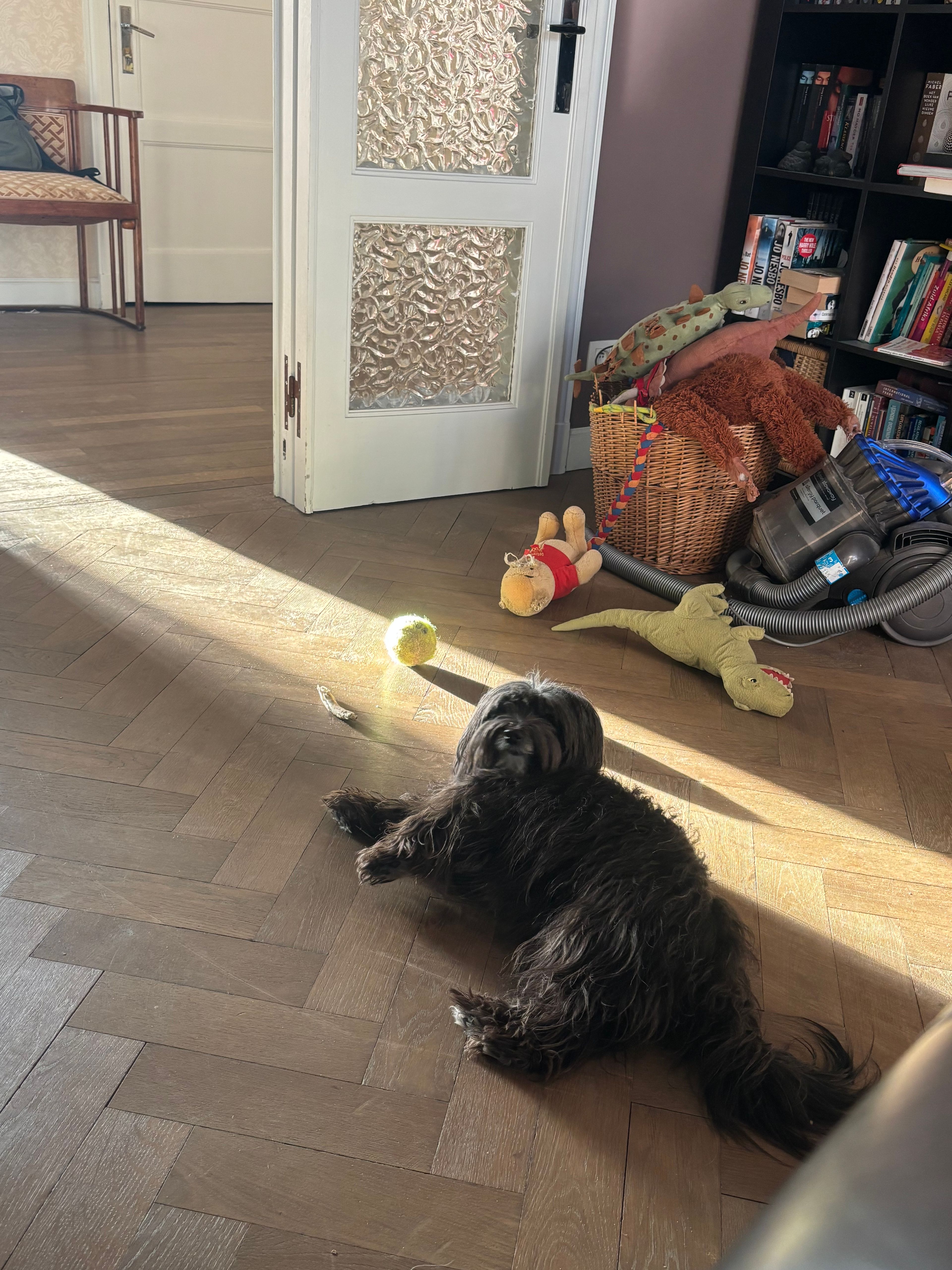 image-12