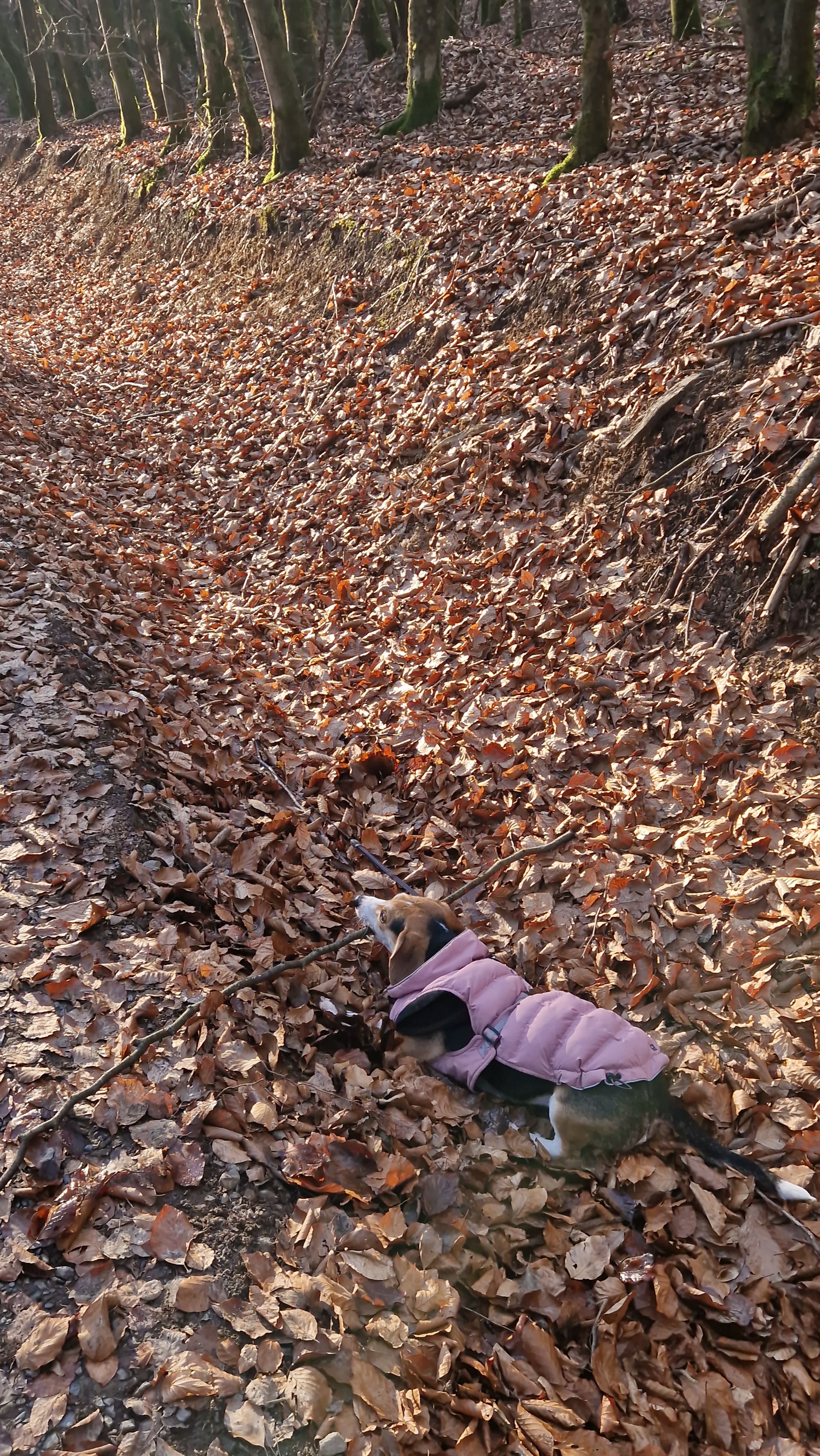 image-8