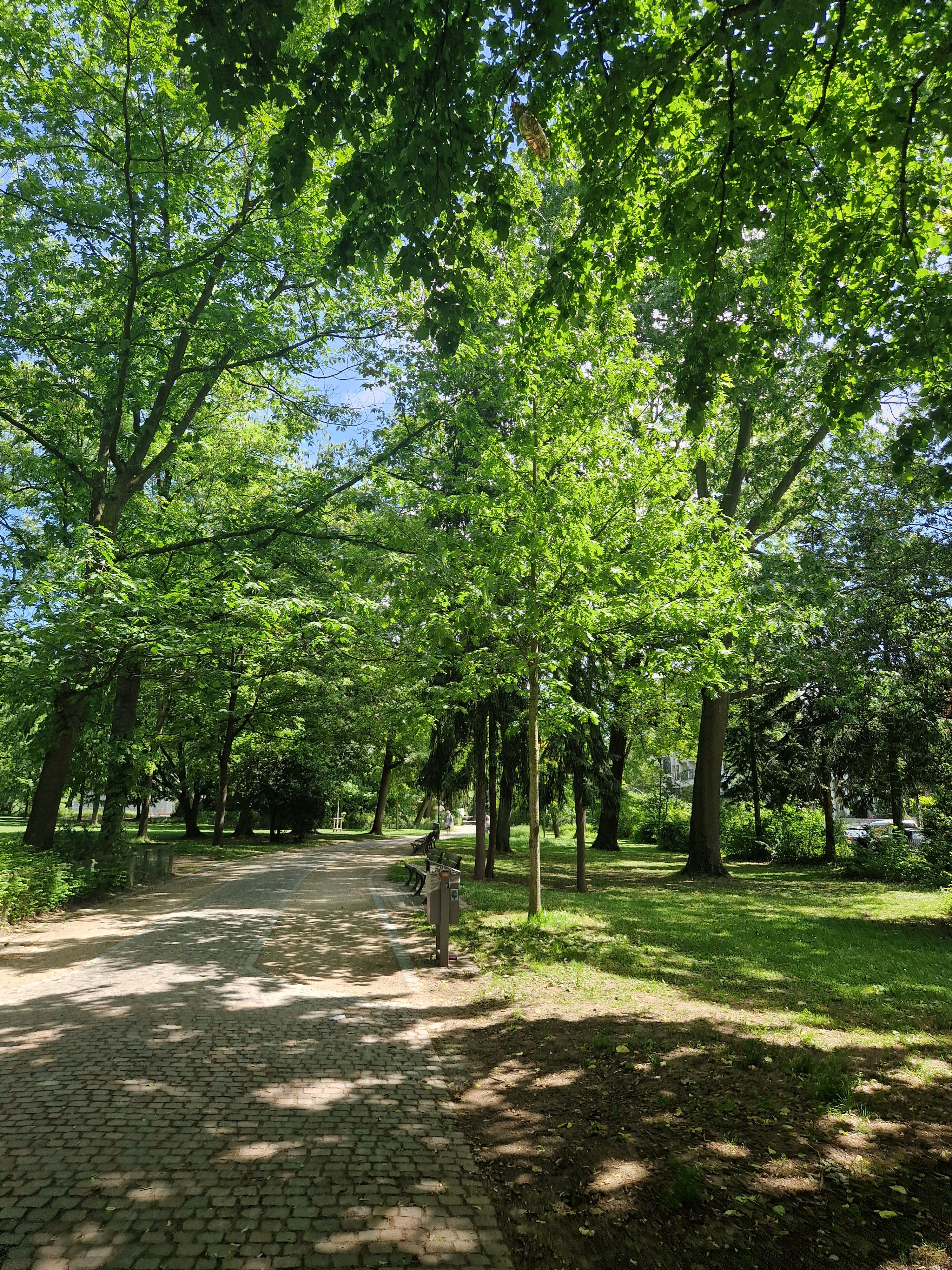 image-13