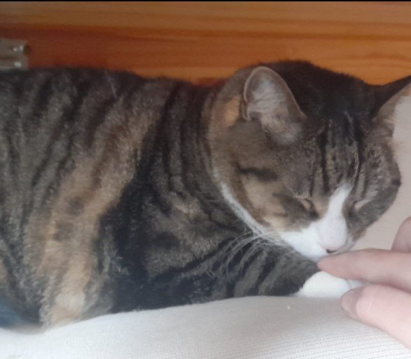 image-6