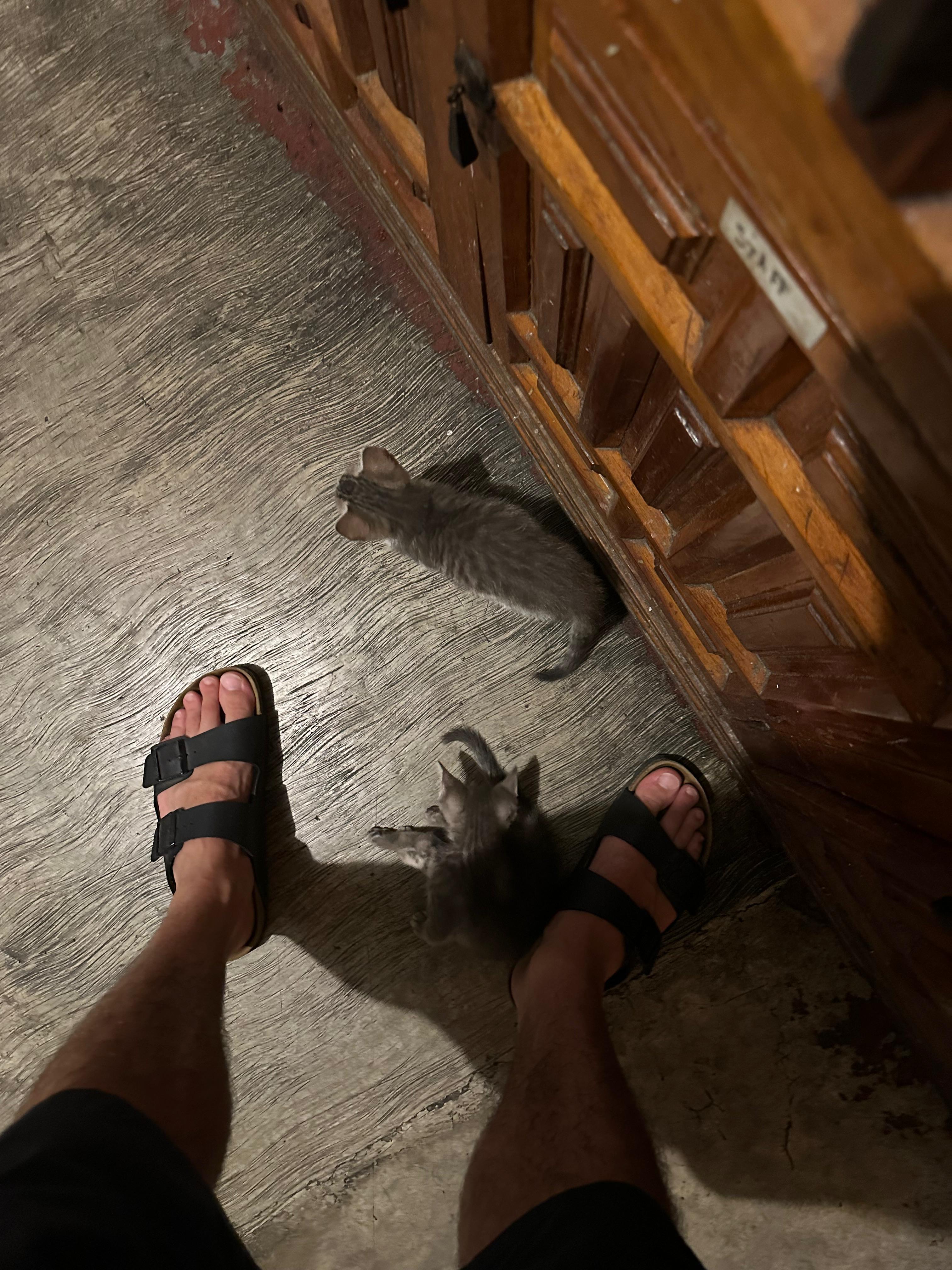image-6