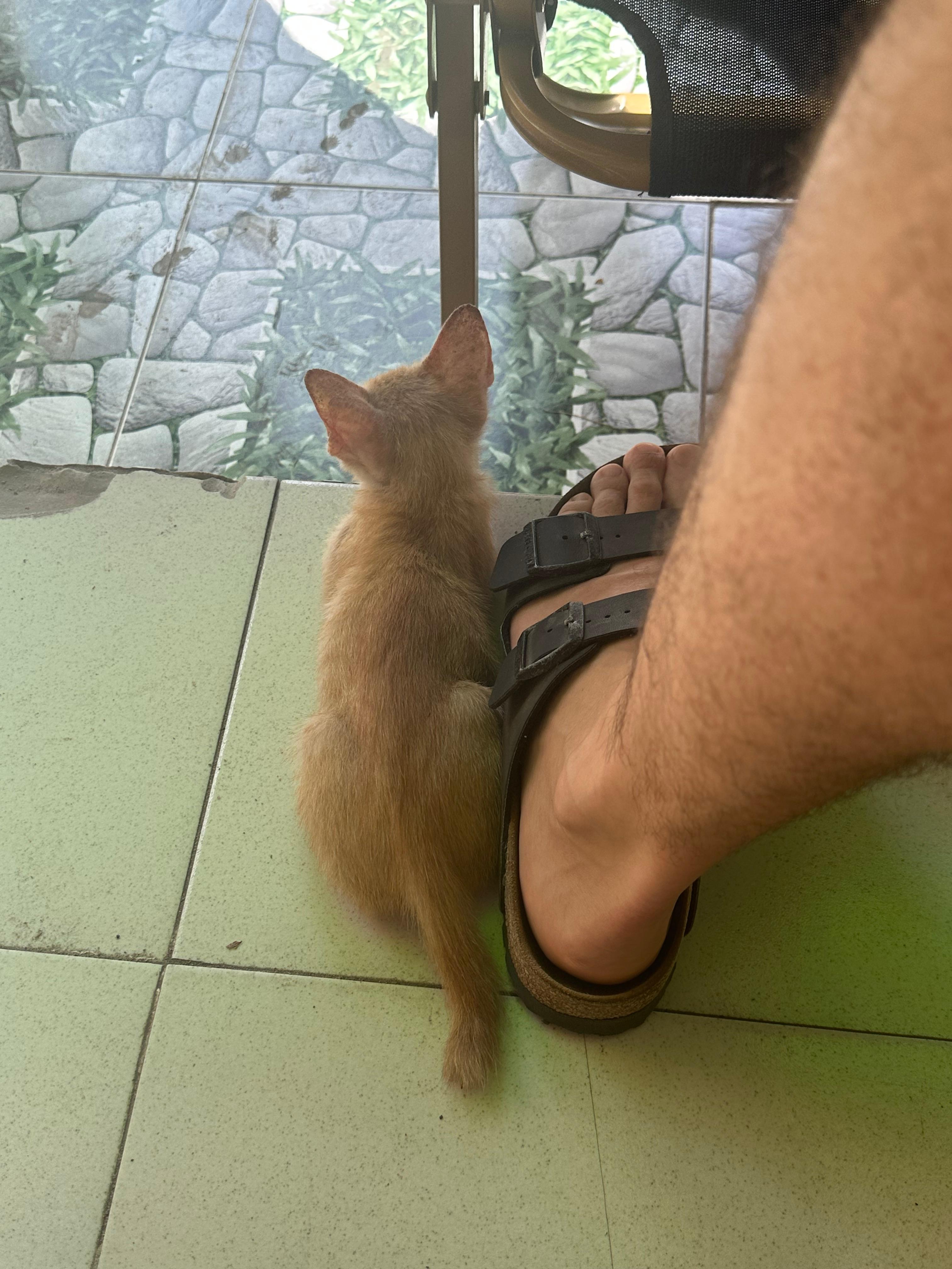 image-7