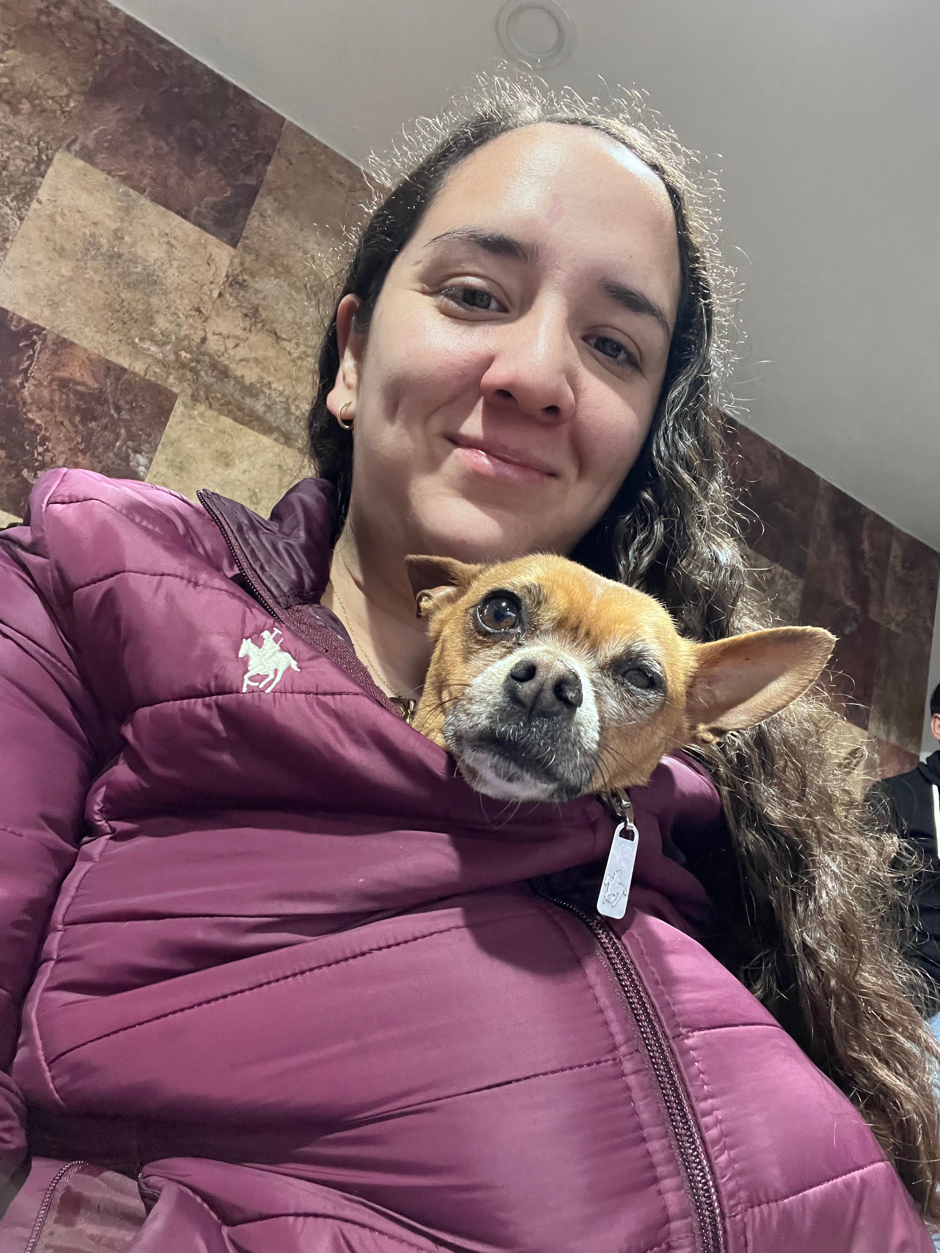 image-6