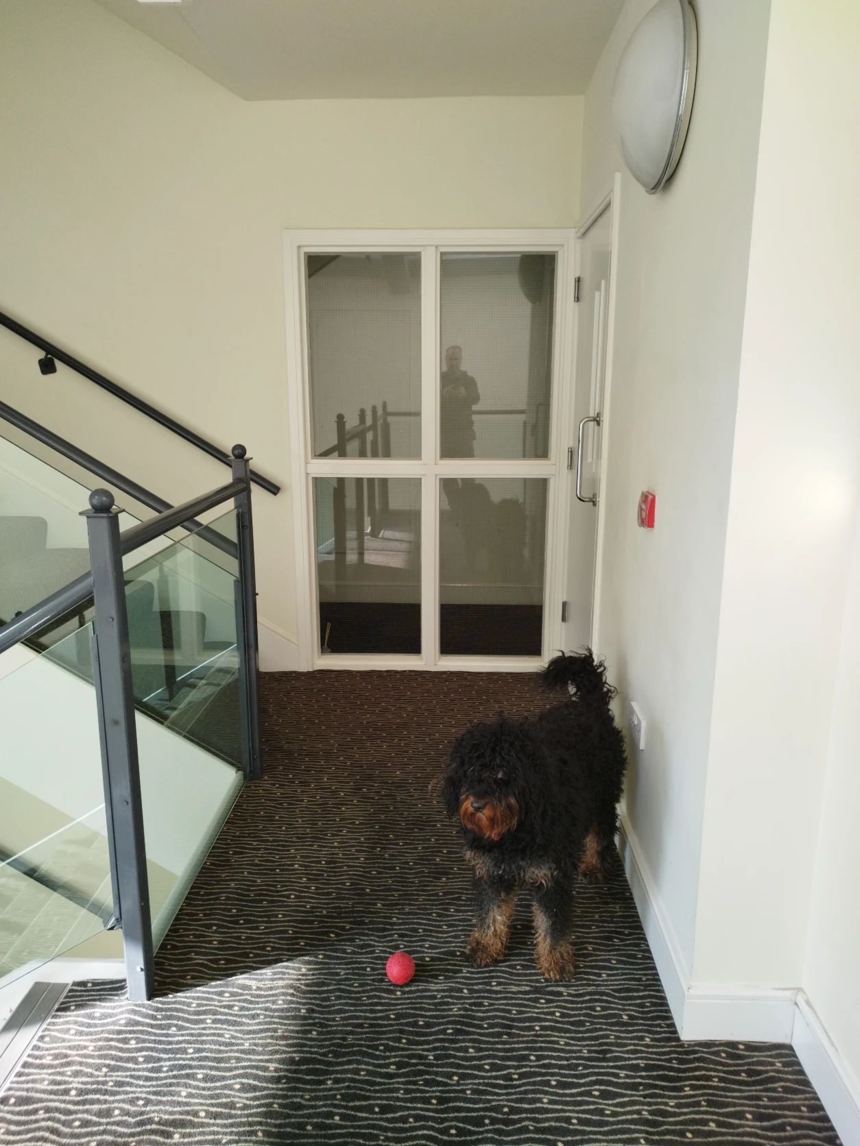 image-9
