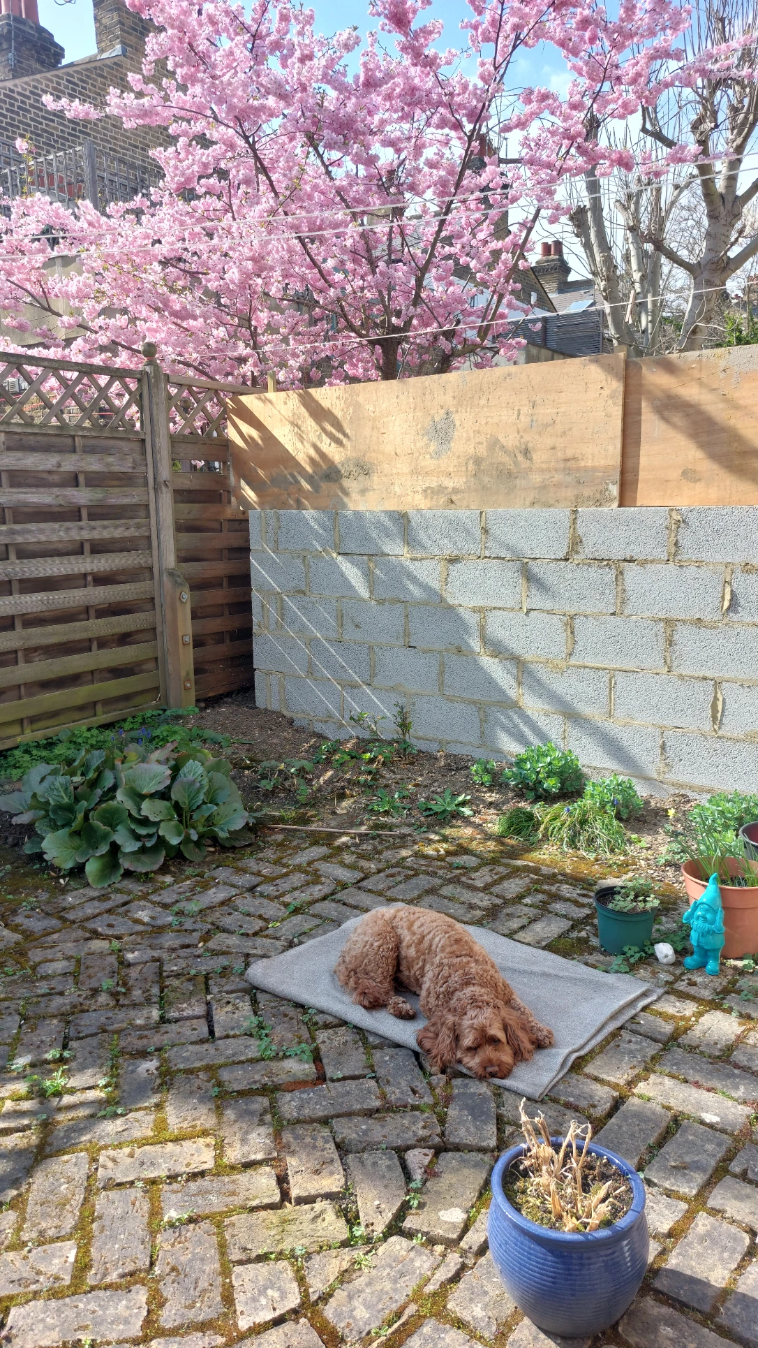 image-18