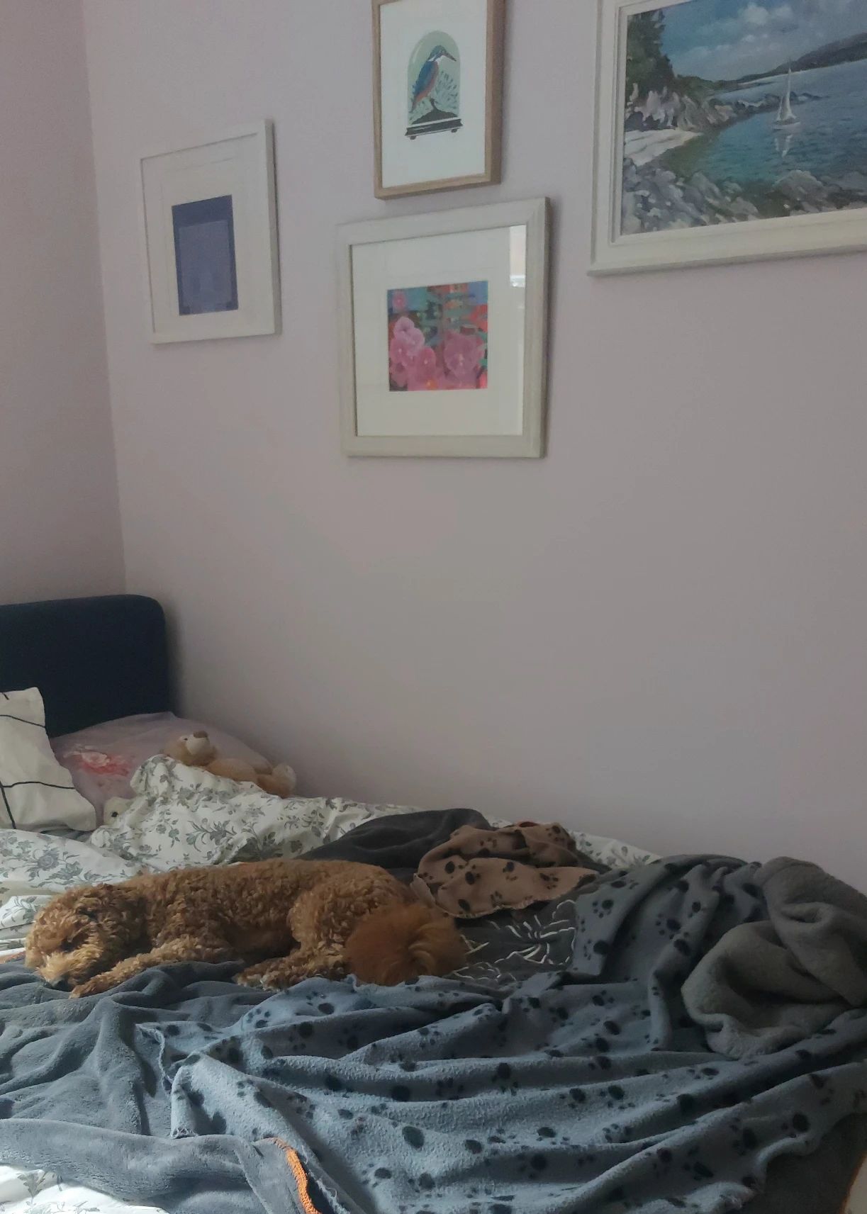image-19