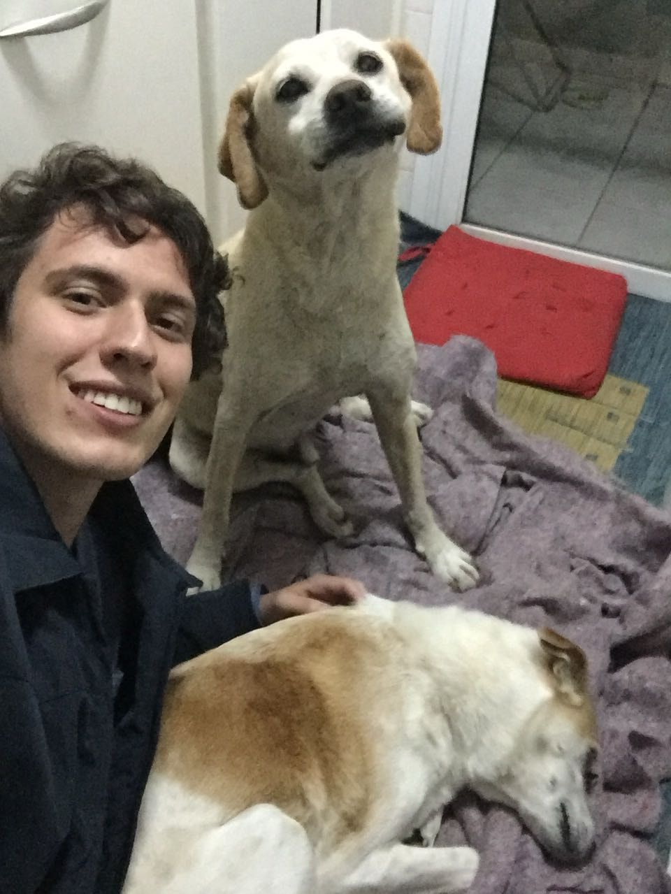 image-3